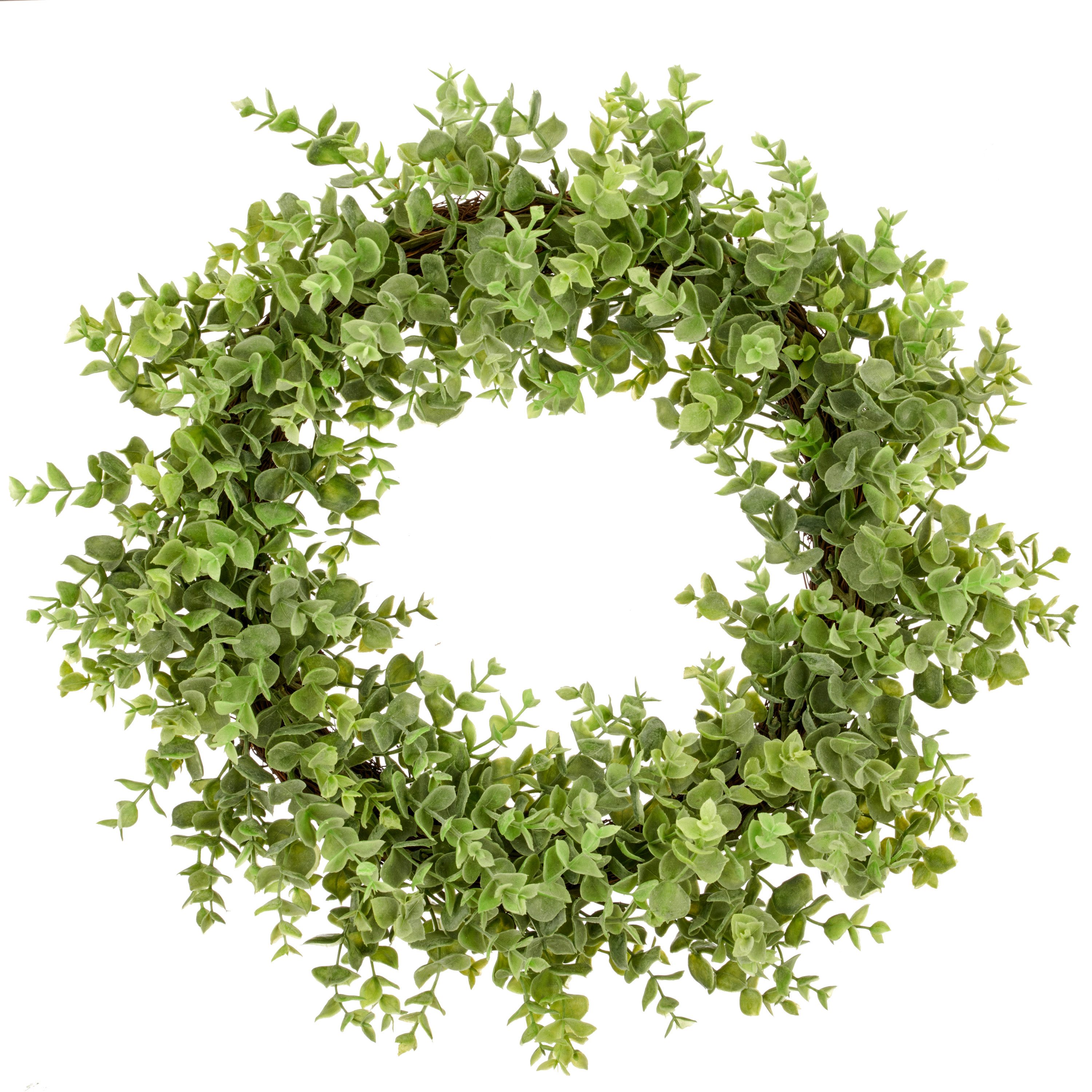 Kunstkranz Eukalyptuskranz, Creativ green, Höhe 10 cm, mit Basis aus Mühlenbeckiareisig