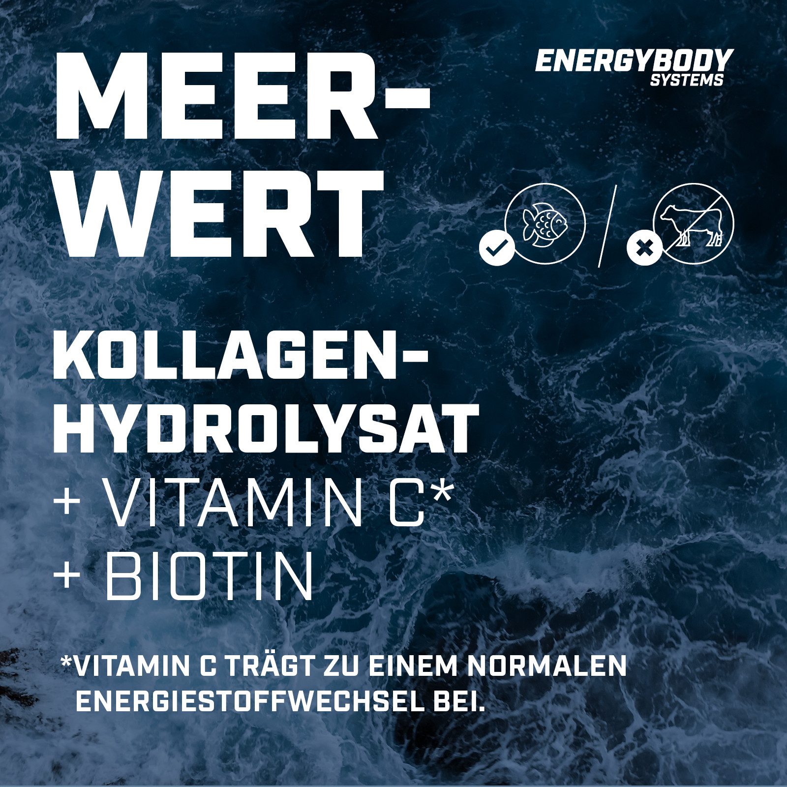 Energybody Systems Marine Kollagen Hydrolysat aus Fisch mit Vitamin C und Biotin Flüssigkeit, mit Dosierbecher