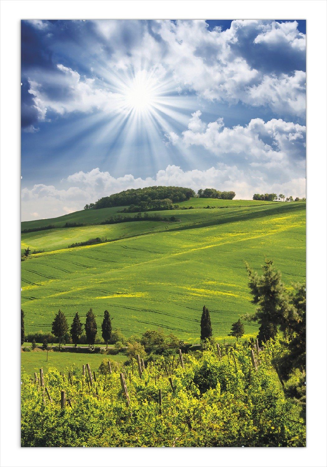 Wallario Poster, Strahlender Sonnenschein, in verschiedenen günstig online kaufen