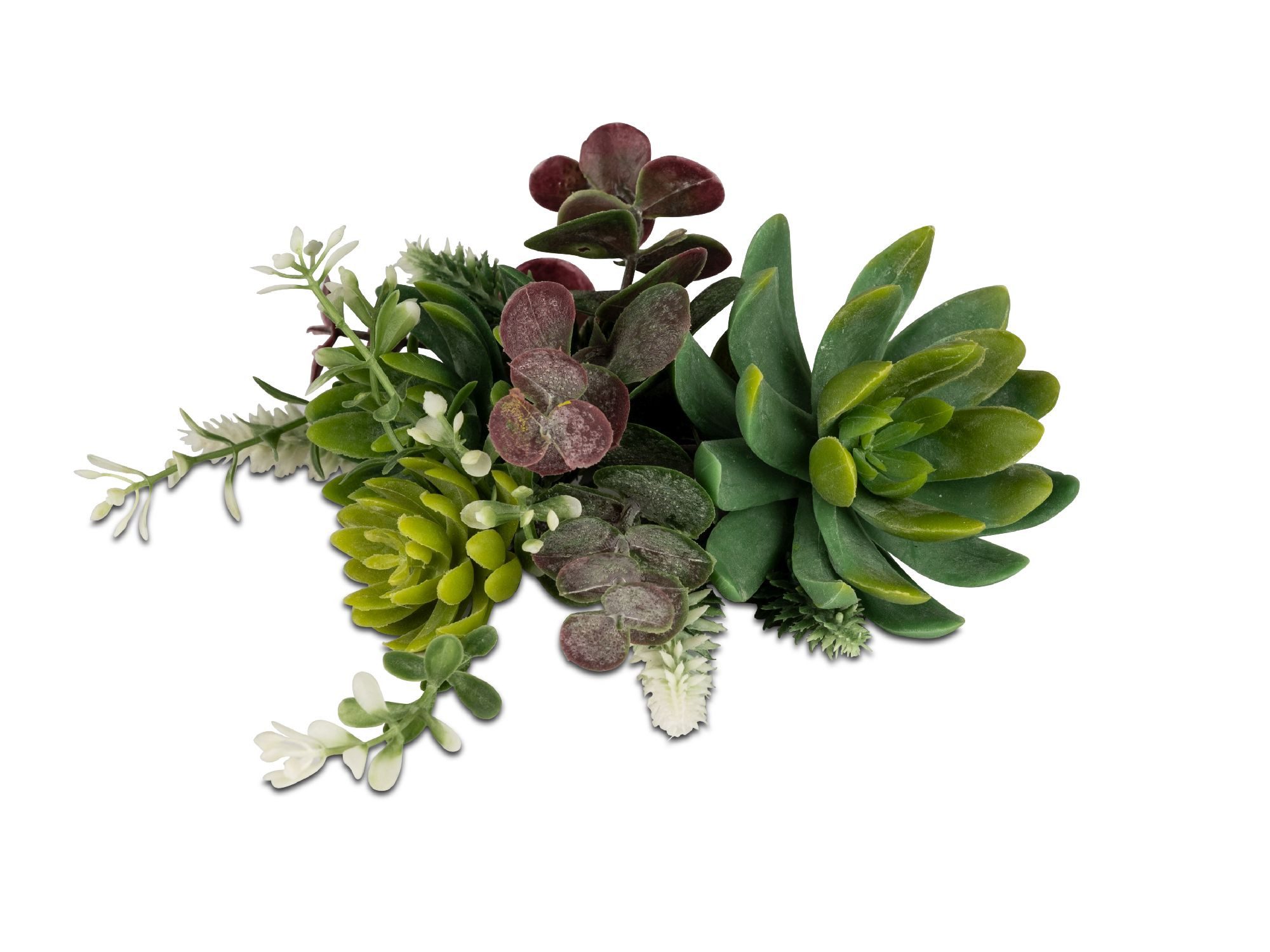 Kunstblume Frühlingszeit, formano, Höhe 16 cm, Farbe: Grün, Motiv: Sukkulen günstig online kaufen