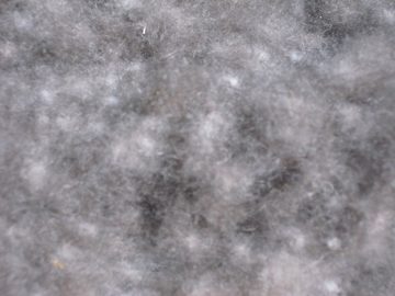 Daunenbettdecke, Typ EIDER Premium Winterdecke (Wärmegrad 5), TraumDaune, Füllung: 100% Wildentenflaum, für Allergiker geeignet
