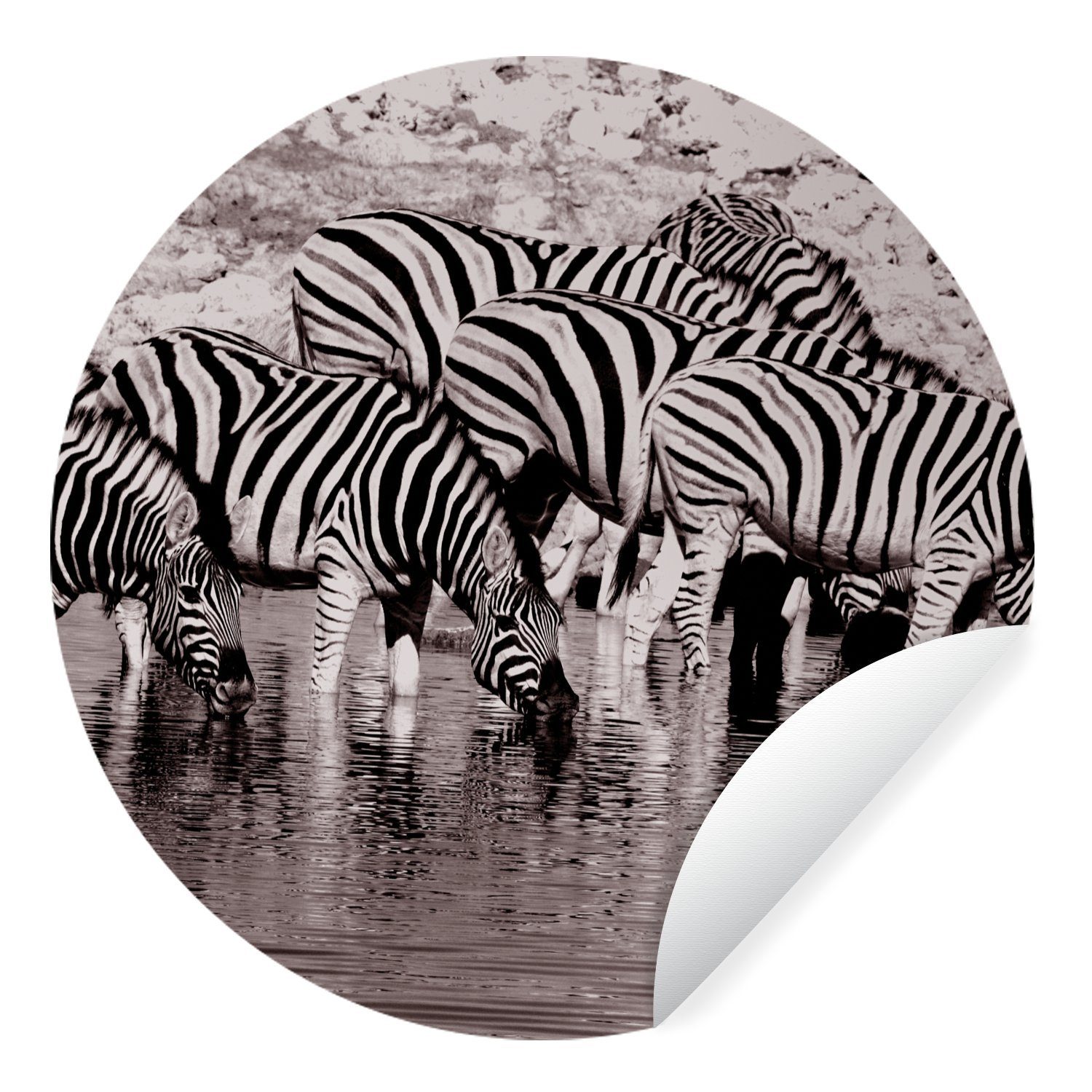MuchoWow Wandsticker Zebras im Wasser (1 St), Tapetenkreis für Kinderzimmer, Tapetenaufkleber, Rund, Wohnzimmer