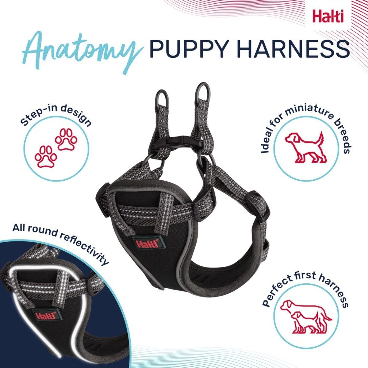 Company of Animals Hunde-Geschirr Hundegeschirr Anatomy Puppy Harness Grey
