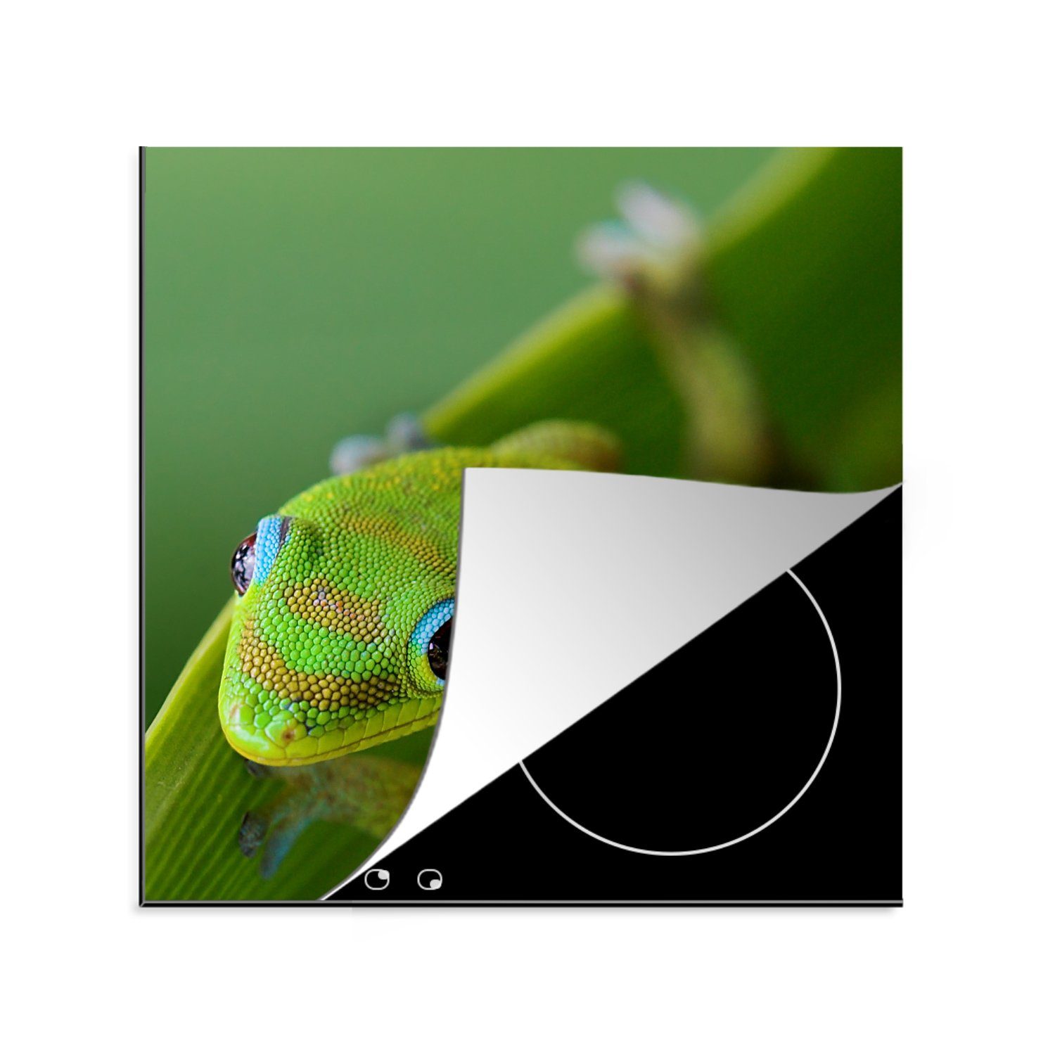MuchoWow Herdblende-/Abdeckplatte Lachender grüner Gecko, Vinyl, (1 tlg), 78x78 cm, Ceranfeldabdeckung, Arbeitsplatte für küche