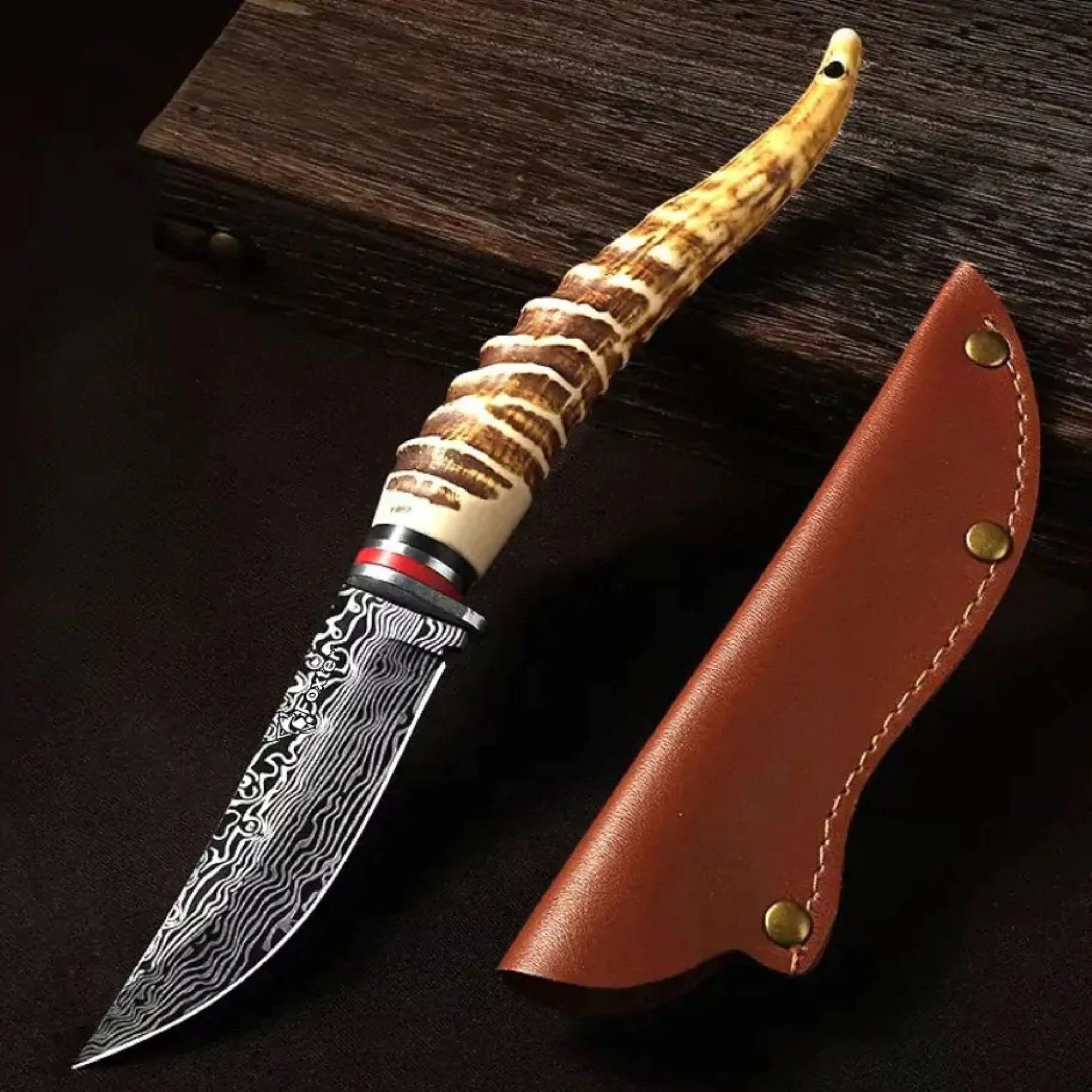 Foxter Taschenmesser Jagdmesser Geweihgriff – Outdoor Messer 24cm Gürtelholster, (Set, Outdoor-Jagdmesser mit feststehender Klinge und Holster für Gürtel), Robuste Edelstahlklinge, rutschfester Geweihgriff, Gürtelholster