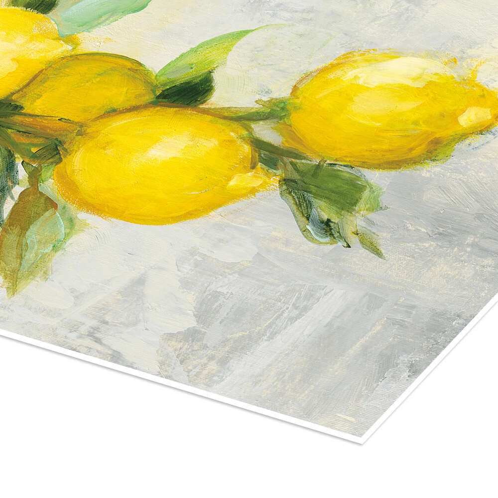 Posterlounge Wandbild Zitronen, Julia Purinton, erhältlich als Poster, Leinwandbild, Wandsticker oder Acrylglasbild