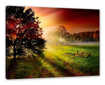 Pixxprint Leinwandbild Sonnenuntergang an Lichtung, Sonnenuntergang an Lichtung (1 St), Leinwandbild fertig bespannt, inkl. Zackenaufhänger