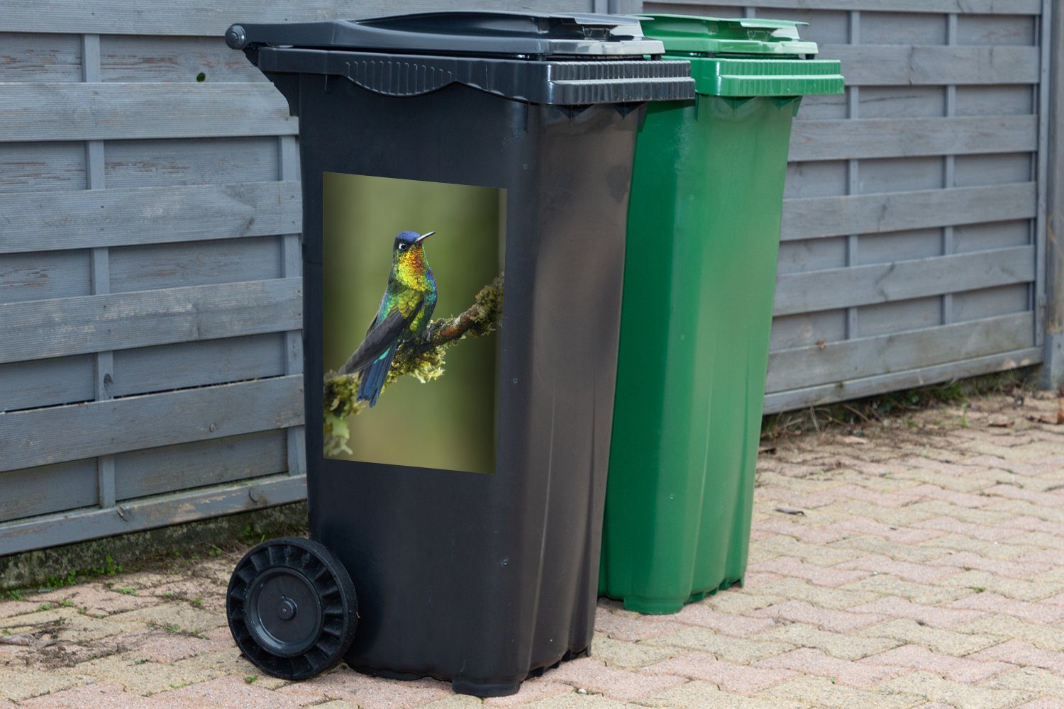 Abfalbehälter Container, St), Vogel - Farben Kolibri - Mülltonne, MuchoWow (1 Sticker, Wandsticker Mülleimer-aufkleber,