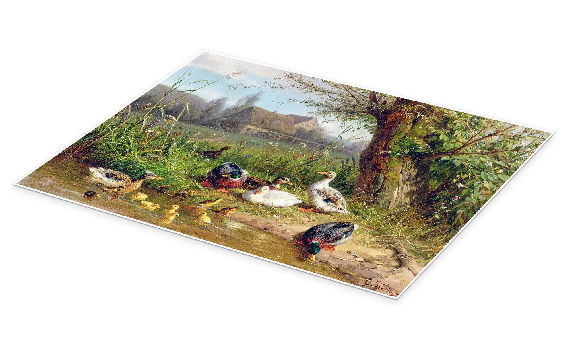Posterlounge Wandbild Mallard Enten mit ihren Entenküken, Carl Jutz, erhältlich als Poster, Leinwandbild, Wandsticker oder Acrylglasbild