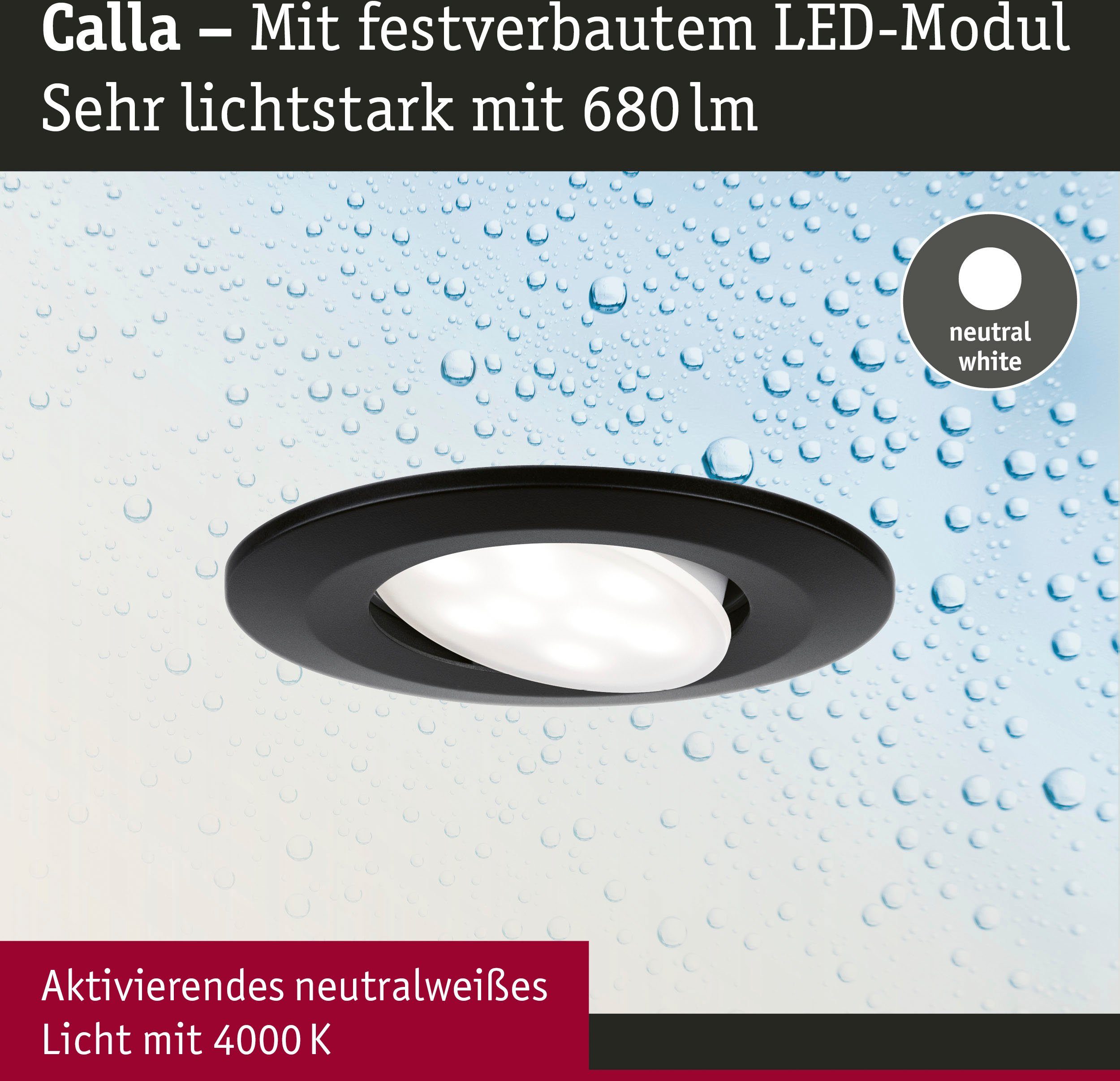 Paulmann LED Einbauleuchte Calla 10x680lm 4000K schwarz integriert, matt 6W 230V LED IP65, Neutralweiß fest