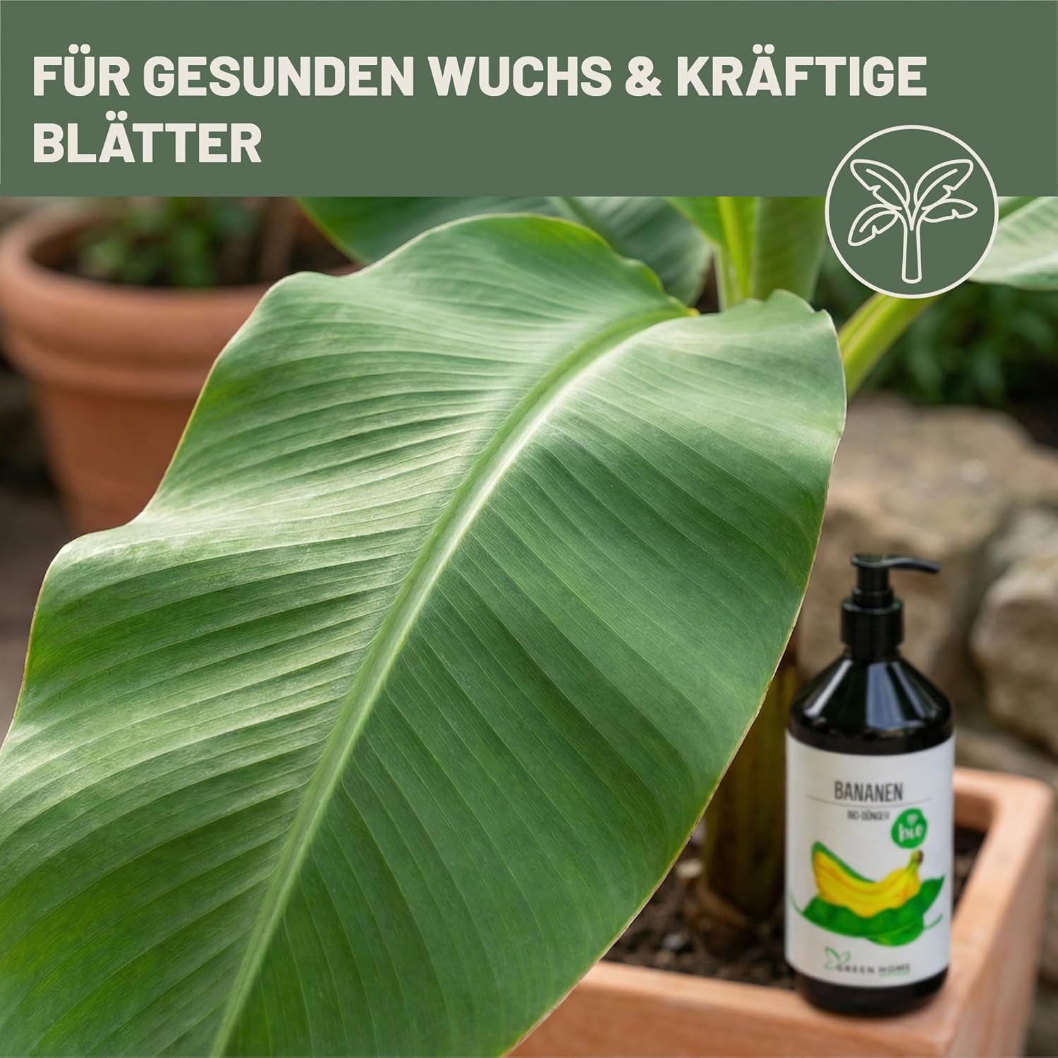 GREEN HOME LOVE NATURE Pflanzendünger Bio-Dünger flüssig NPK 3+2+6 für Bananen & Tropenpflanzen, Bananen, 100 % bio, organisch-mineralisch, extra Kalium, Dosierpumpe