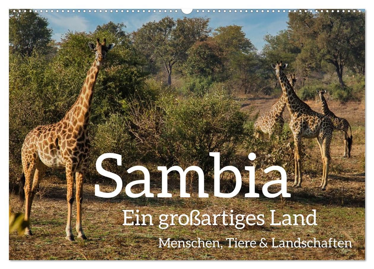 CALVENDO Wandkalender Sambia - ein großartiges Land (Wandkalender 2027 DIN A2 quer), CALVEND
