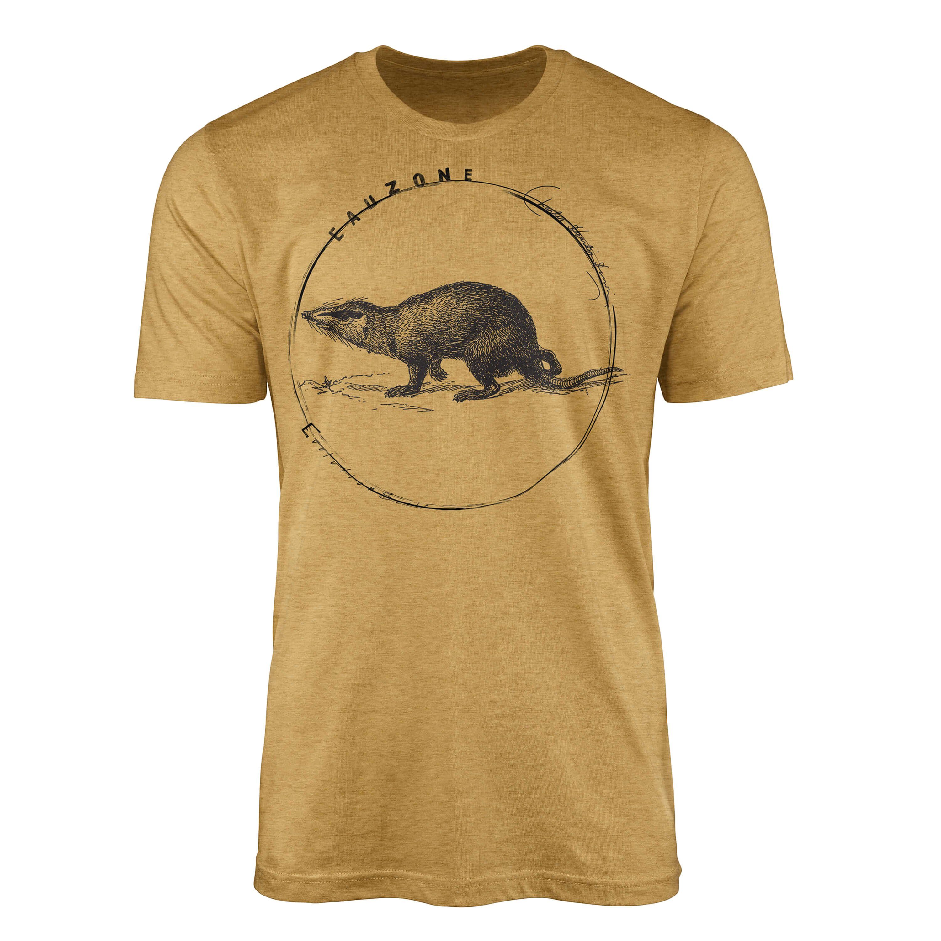 Sinus Art T-Shirt Evolution Herren T-Shirt Rattenigel Antique Gold