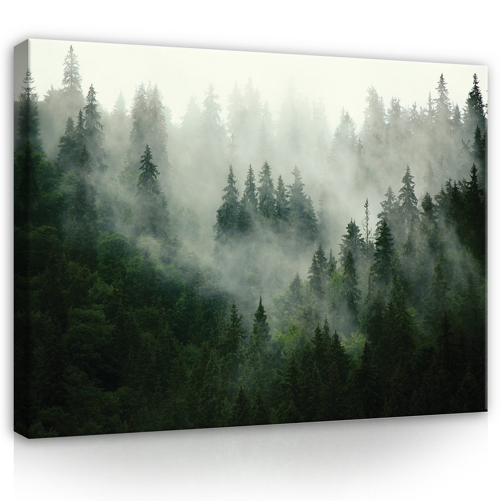 Wallarena Leinwandbild Wald im Nebel Grün Natur Modern XXL Leinwandbilder B günstig online kaufen
