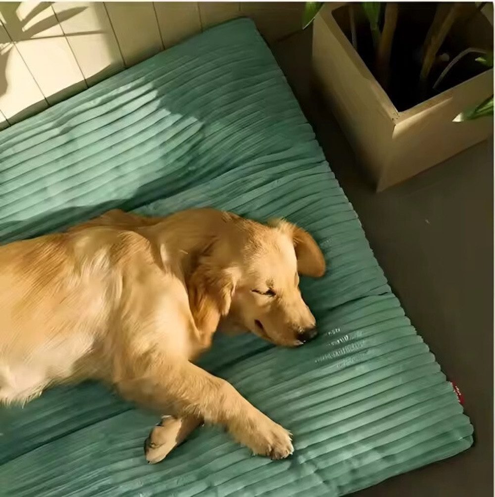 Mate for dogs Tierkissen Hundekissen „Marley“ – Bequem & pflegeleicht 3 Größen, Polyester