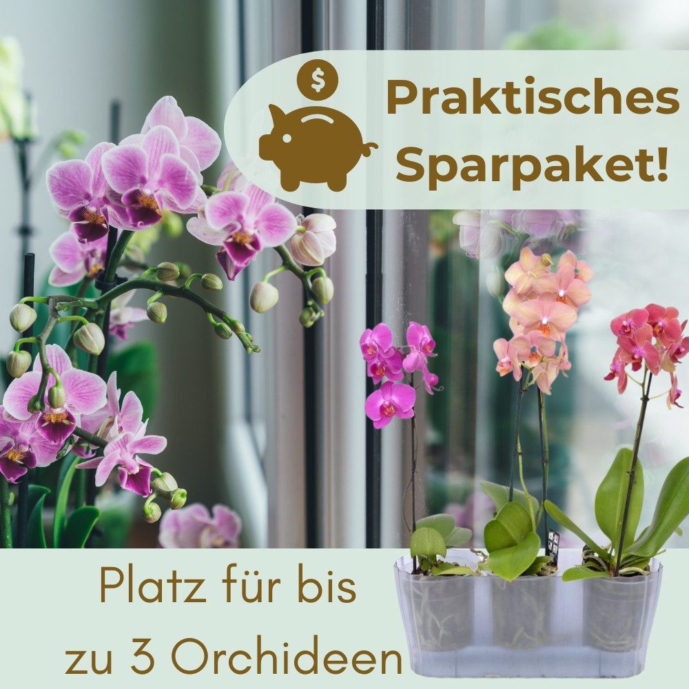 GarPet Blumentopf 2er Set Orchideentopf Transparent Orchideen Über groß rauchfarbig groß