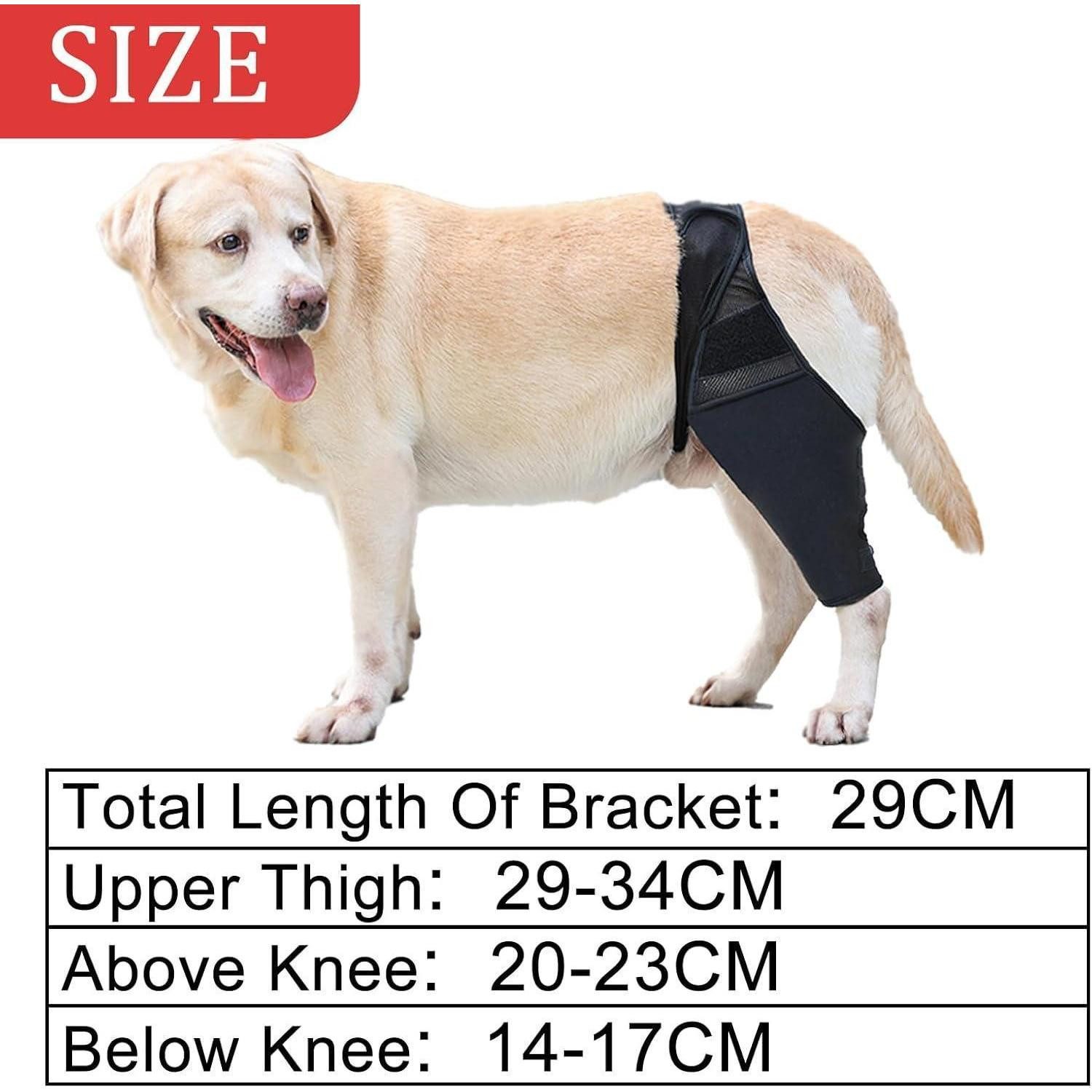 DKDDSSS Kniebandage Kniebandage Hund Hinterbein Kreuzbandriss Unterstützung Recovery
