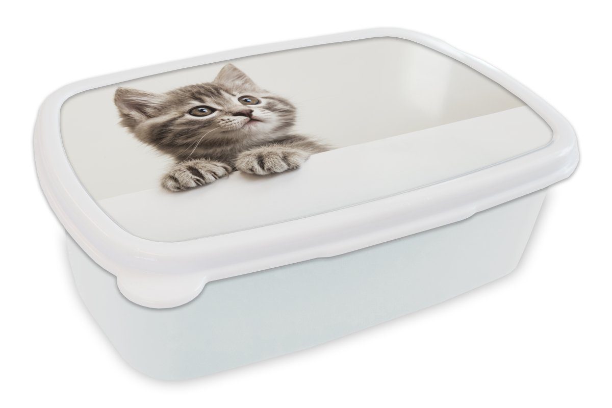 MuchoWow Lunchbox Katze - Grau - Tiere, Kunststoff, (2-tlg), Brotbox für Kinder und Erwachsene, Brotdose, für Jungs und Mädchen weiß