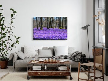 Sinus Art Leinwandbild 120x80cm Wandbild auf Leinwand Violette Blüten Blumen Natur Bäume, (1 St)