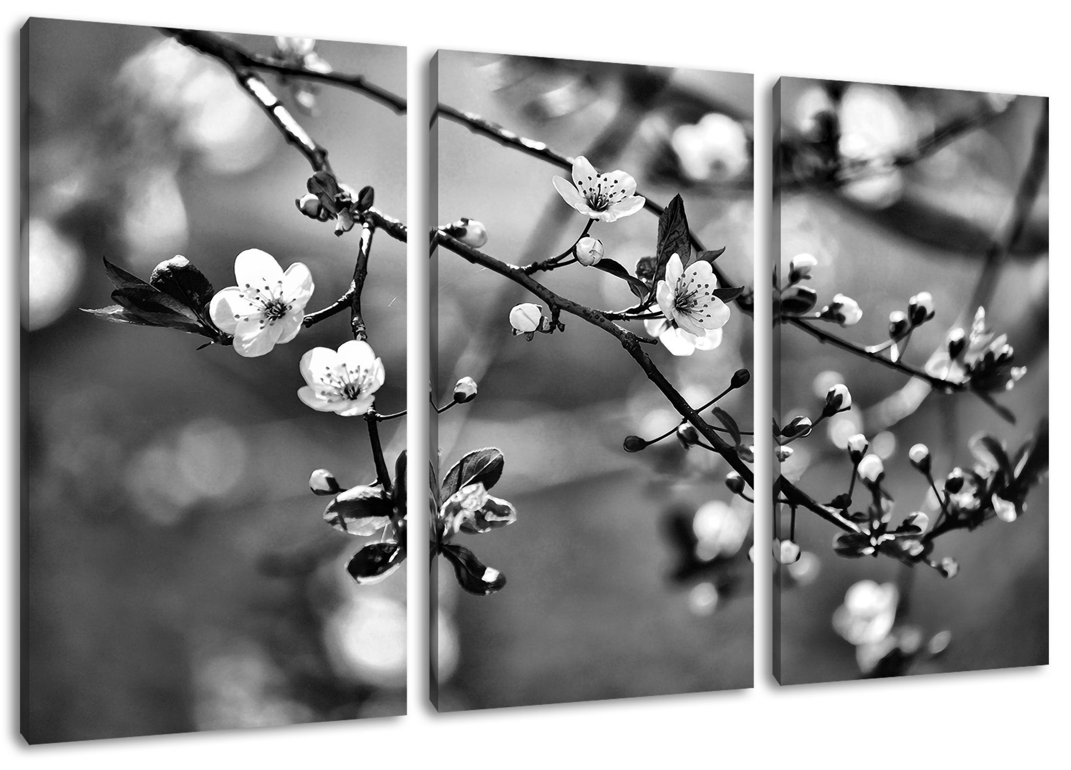bespannt, Blüten Leinwandbild Exotische St), Sakura Sakura Zackenaufhänger fertig 3Teiler Blüten, Leinwandbild (1 (120x80cm) Pixxprint inkl. Exotische