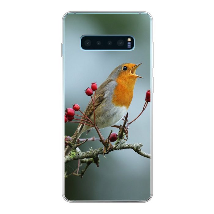 MuchoWow Handyhülle Rotkehlchen - Zweig - Beeren Phone Case Handyhülle Samsung Galaxy S10+ Silikon Schutzhülle