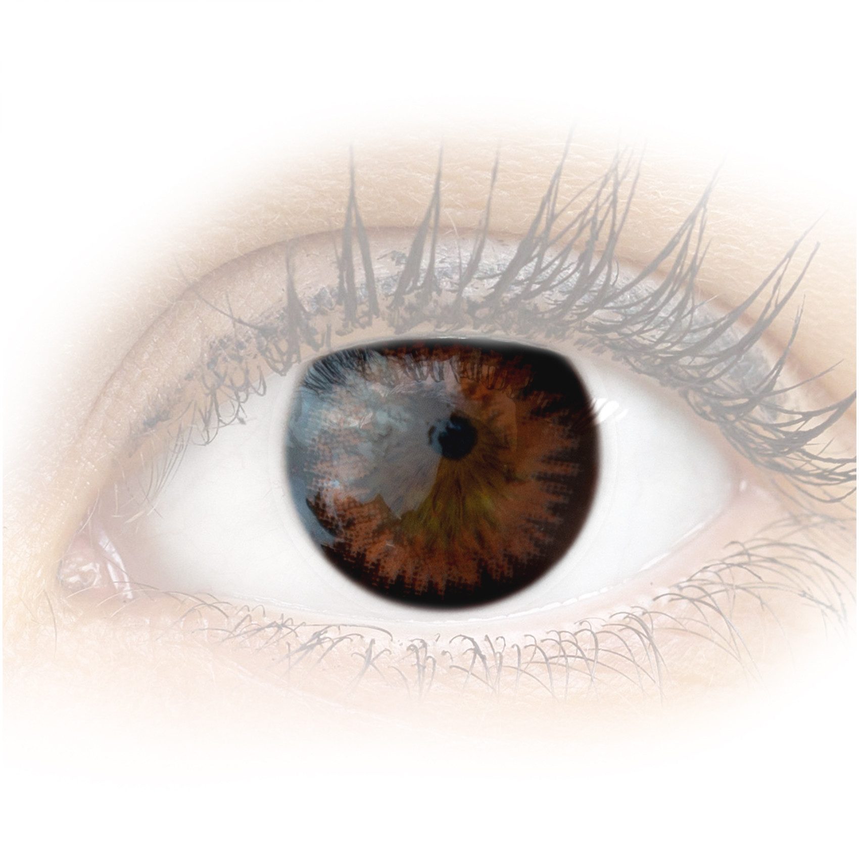 GLAMLENS Monatslinsen Sehr stark deckende und natürliche braune Linsen "Siena Choco"