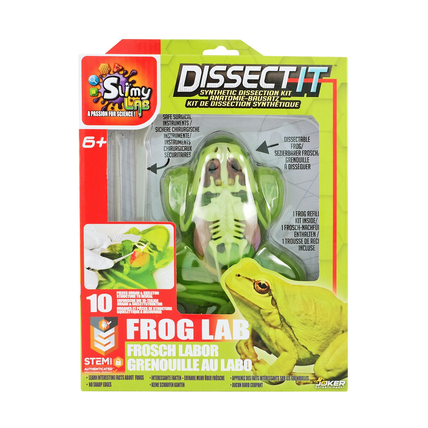 Slimy® Knetform-Set Slimy Lab Dissect-IT - Frosch (Knetform-Set, 1-tlg., Lernspielzeug - prämiertes MINT Schleim Labor), Experimentieren & Forschen Sezier-Set