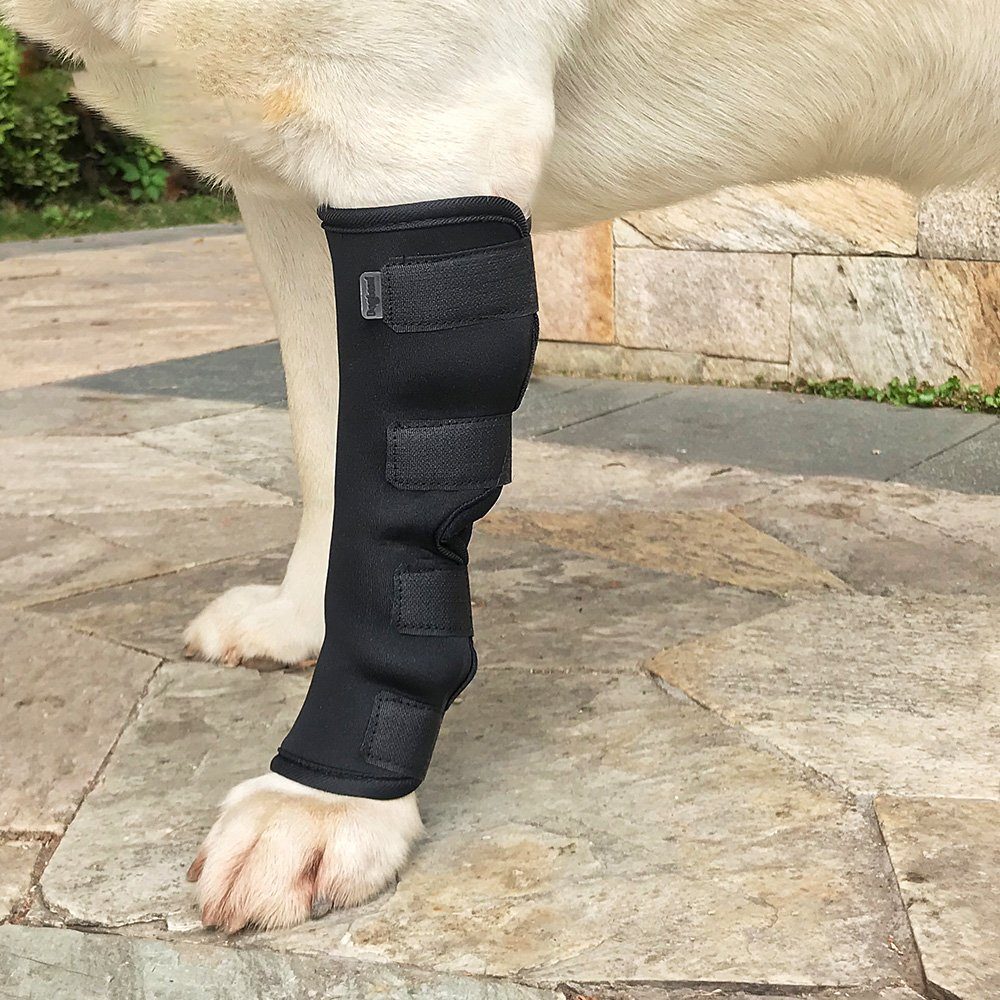 LAPA HOME Knieschutz Hund Beinschützer Haustier-Reparatur-Erholungsgürtel Schutz (1-tlg), Schützen, Das Beinstützkit, Weich, wiederholten Gebrauch