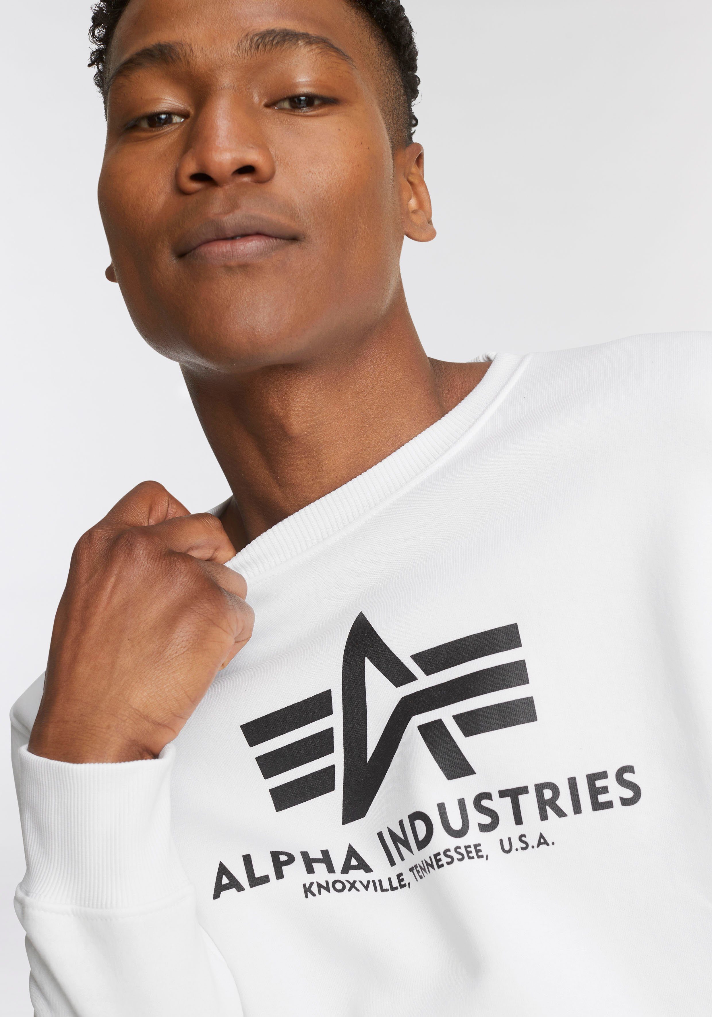 Alpha Industries Sweatshirt Basic Sweater Baumwollmischung, regular fit