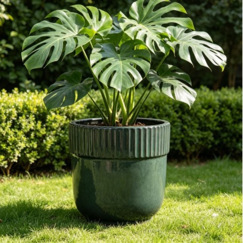 Rolipo Blumentopf Pflanztopf Keramik 23 cm handgefertigt mit Rillenrand Blumentopf (1 St), Kältebeständig, mit Abflusslöchern, geeignet für Balkone