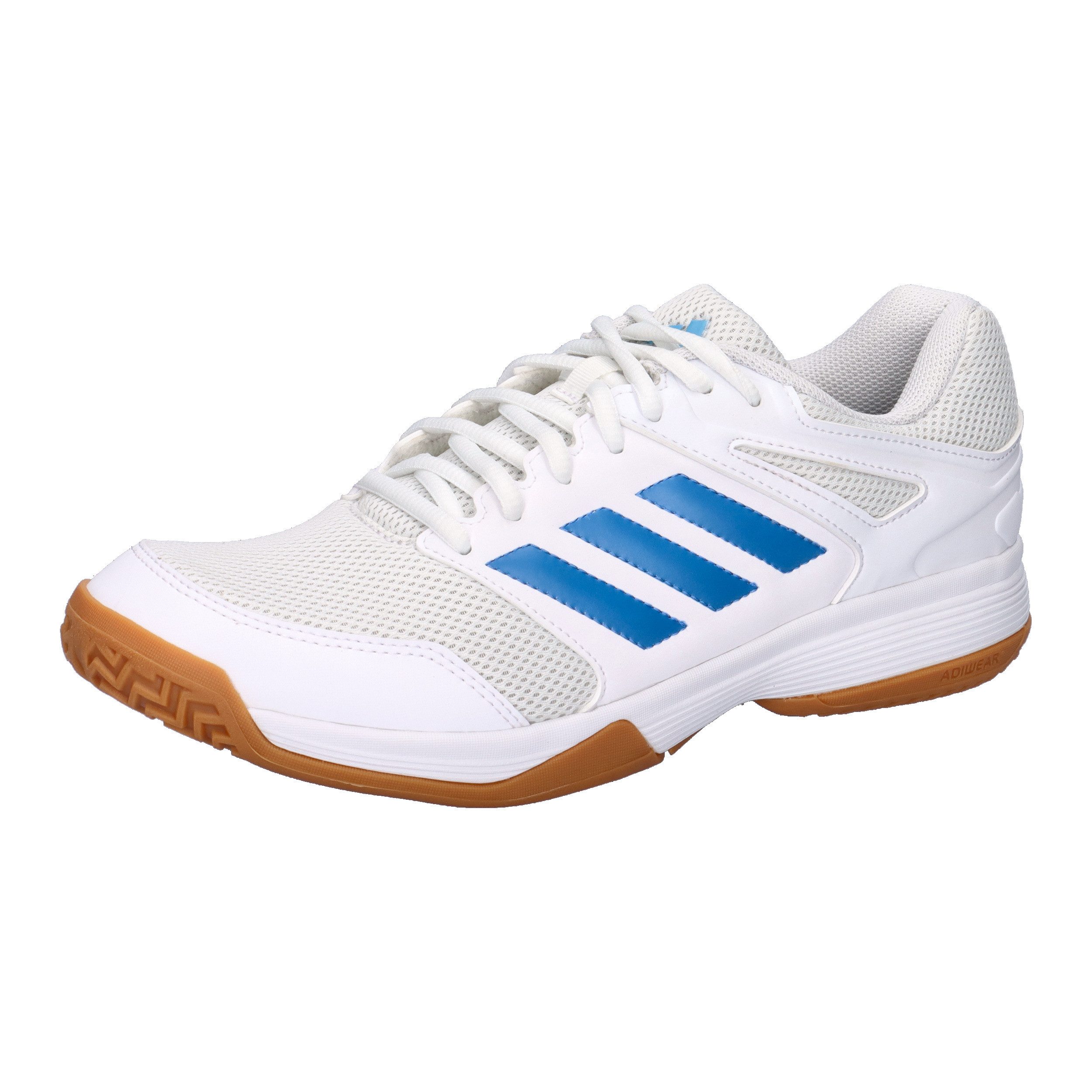 adidas Performance adidas Herren Volleyballschuhe Speedcourt M Hallenschuh