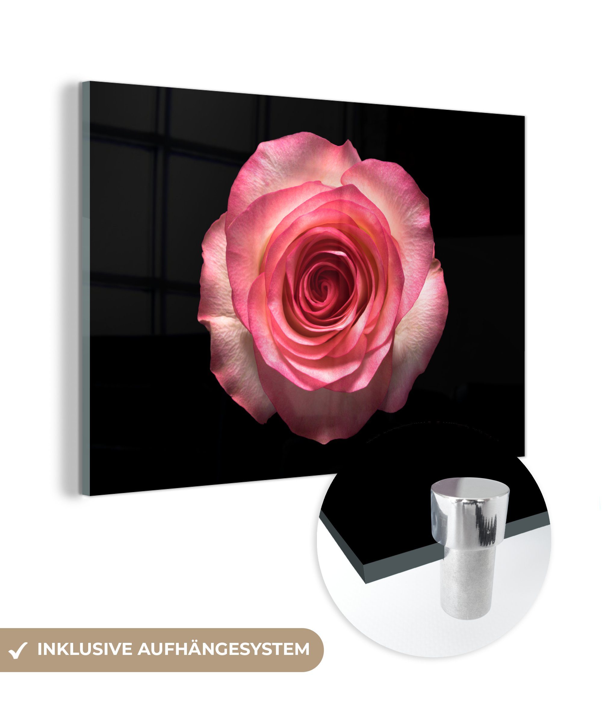 MuchoWow Acrylglasbild Rosen - Rosa - Schwarz, (1 St), Acrylglasbilder Wohnzimmer & Schlafzimmer