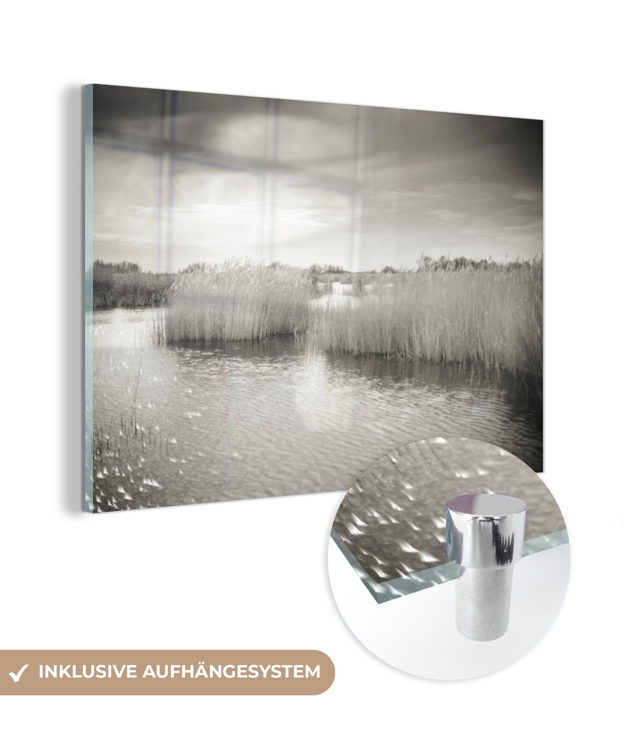 MuchoWow Acrylglasbild Schwarz-Weiß-Fotografie von Schilf in einem See im Nationalpark Tablas, (1 St), Acrylglasbilder Wohnzimmer & Schlafzimmer