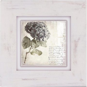 Home affaire Holzbild Lila Blume, 40/40 cm