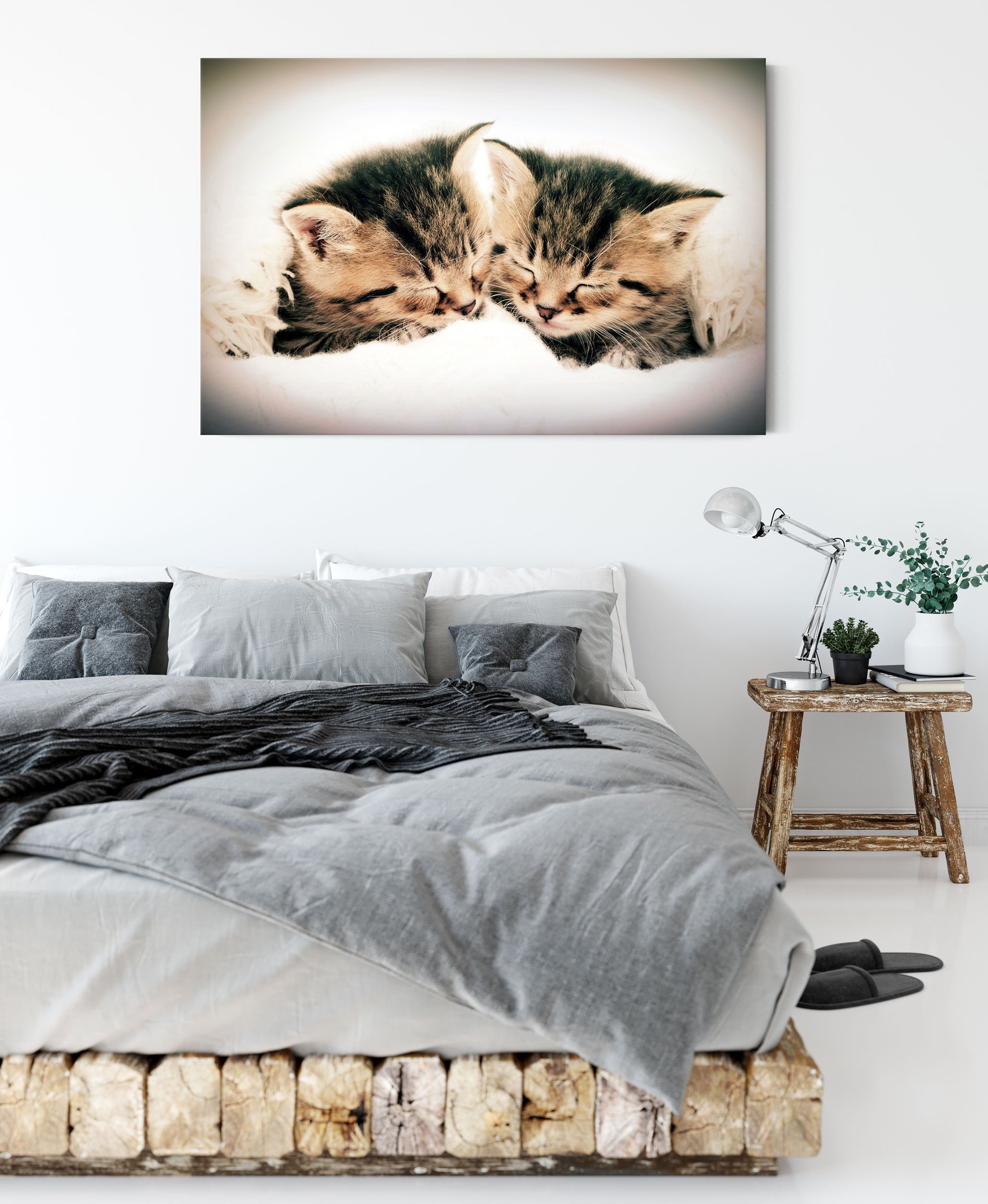 Katzen Pixxprint Leinwandbild (1 Herzform, Leinwandbild Herzform St), fertig Zackenaufhänger bespannt, Katzen inkl.