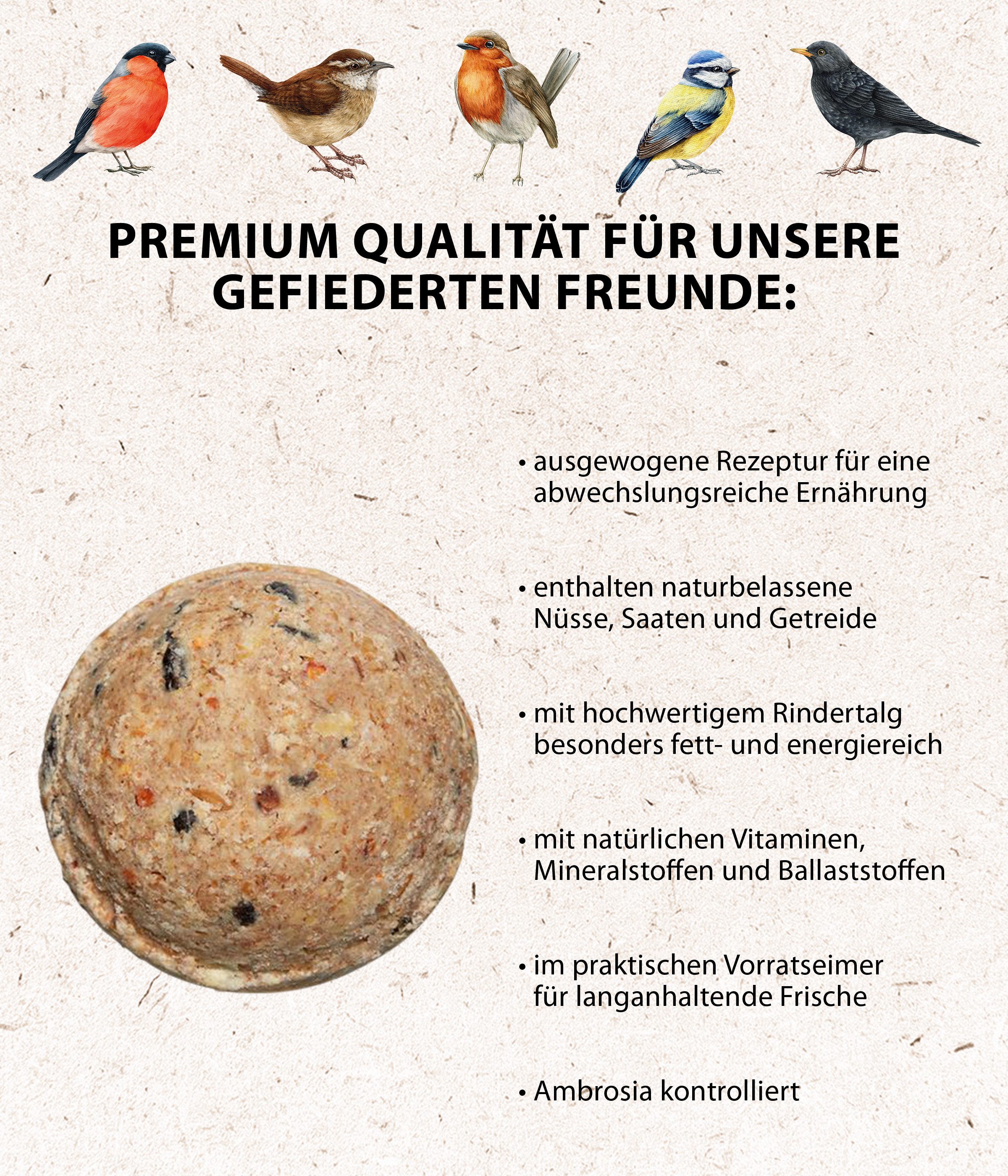 Dehner Natura Große Meisenknödel ohne Netz, 30 Stück je 90 Gramm (2.7 kg), Hauptfutter für: Gartenvögel, Wildvogel, im Eimer, Wildvogelfutter zur ganzjährigen Fütterung
