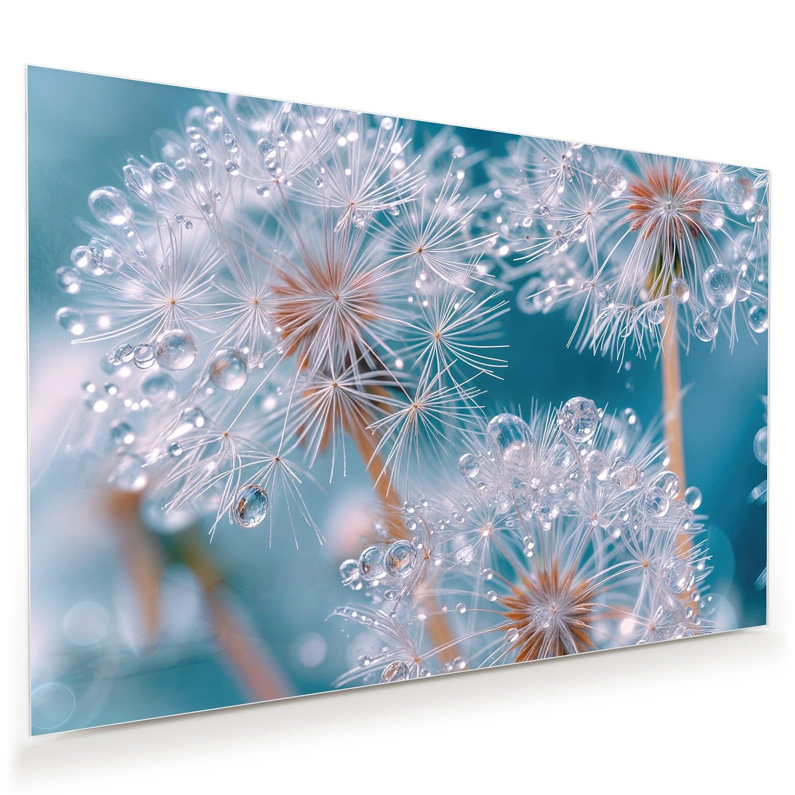 Glasbild Wandbild Wassertropfen Pusteblume mit Aufhängung