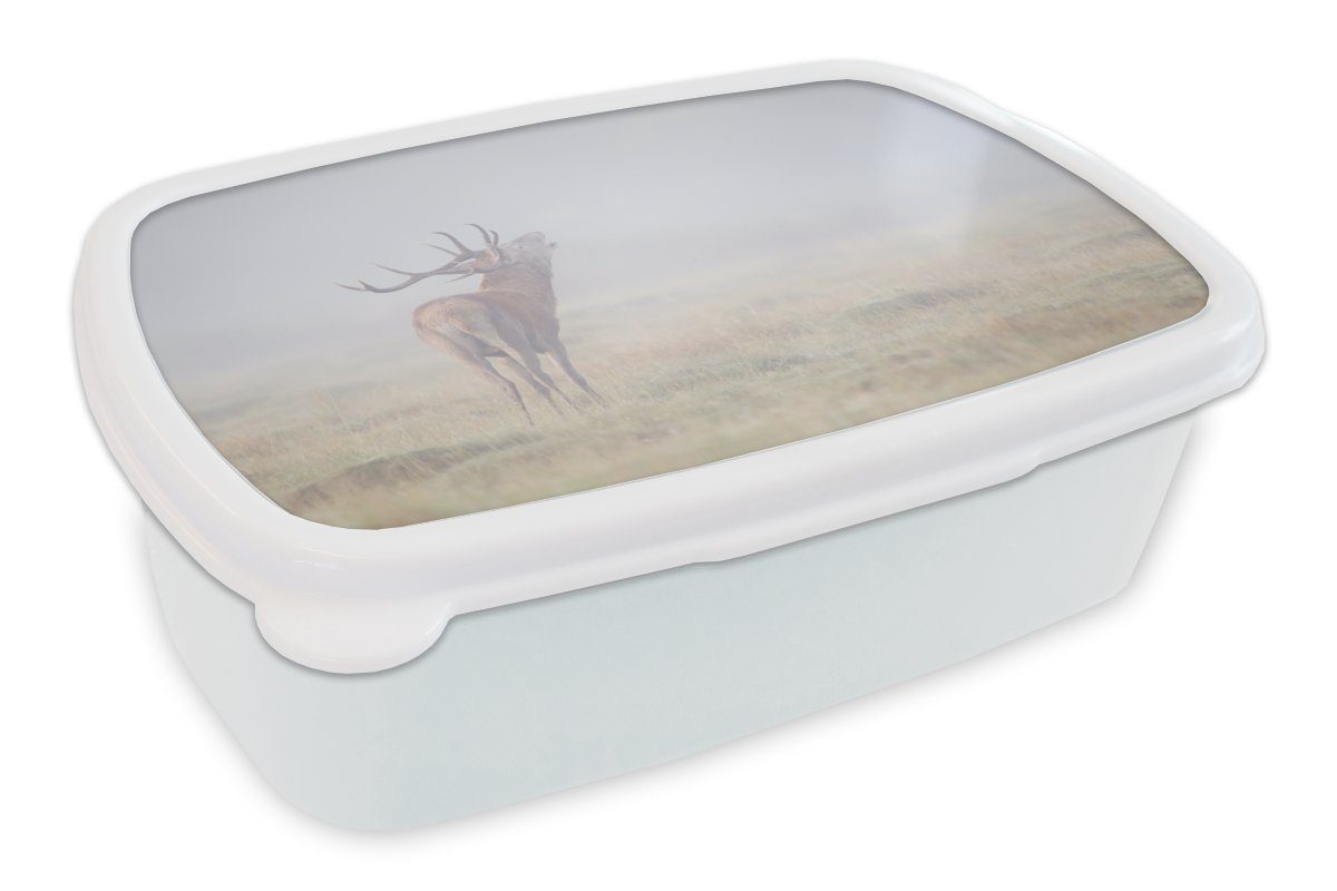 MuchoWow Lunchbox Brotdose, Hirsche und - für Jungs und Kinder für Nebel, Gras Erwachsene, Brotbox Kunststoff, weiß Mädchen (2-tlg), 