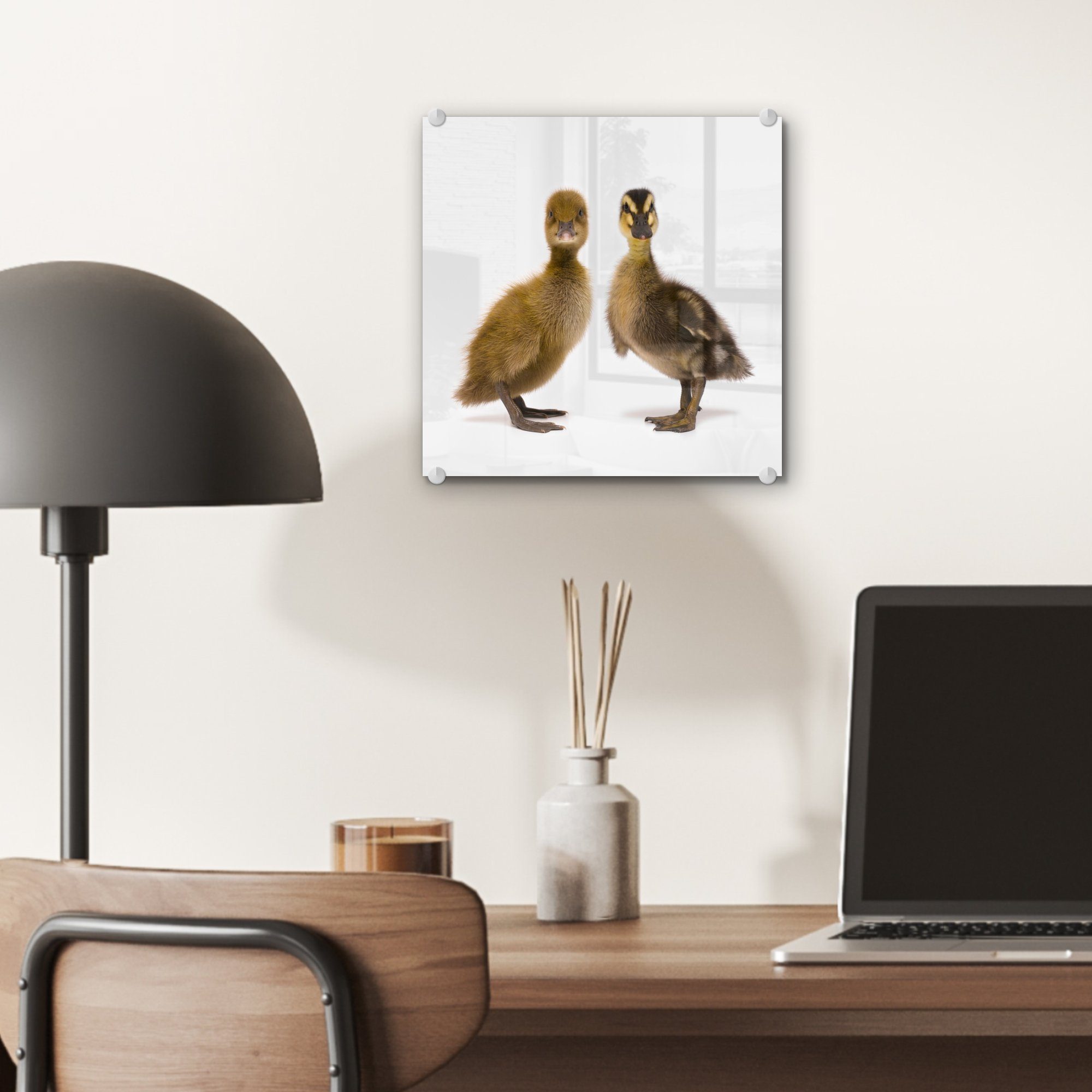 Glas Baby-Enten (1 auf Zwei auf in Wandbild schauen die Bilder Acrylglasbild Wanddekoration MuchoWow Foto Glasbilder Glas St), Kamera, - - -