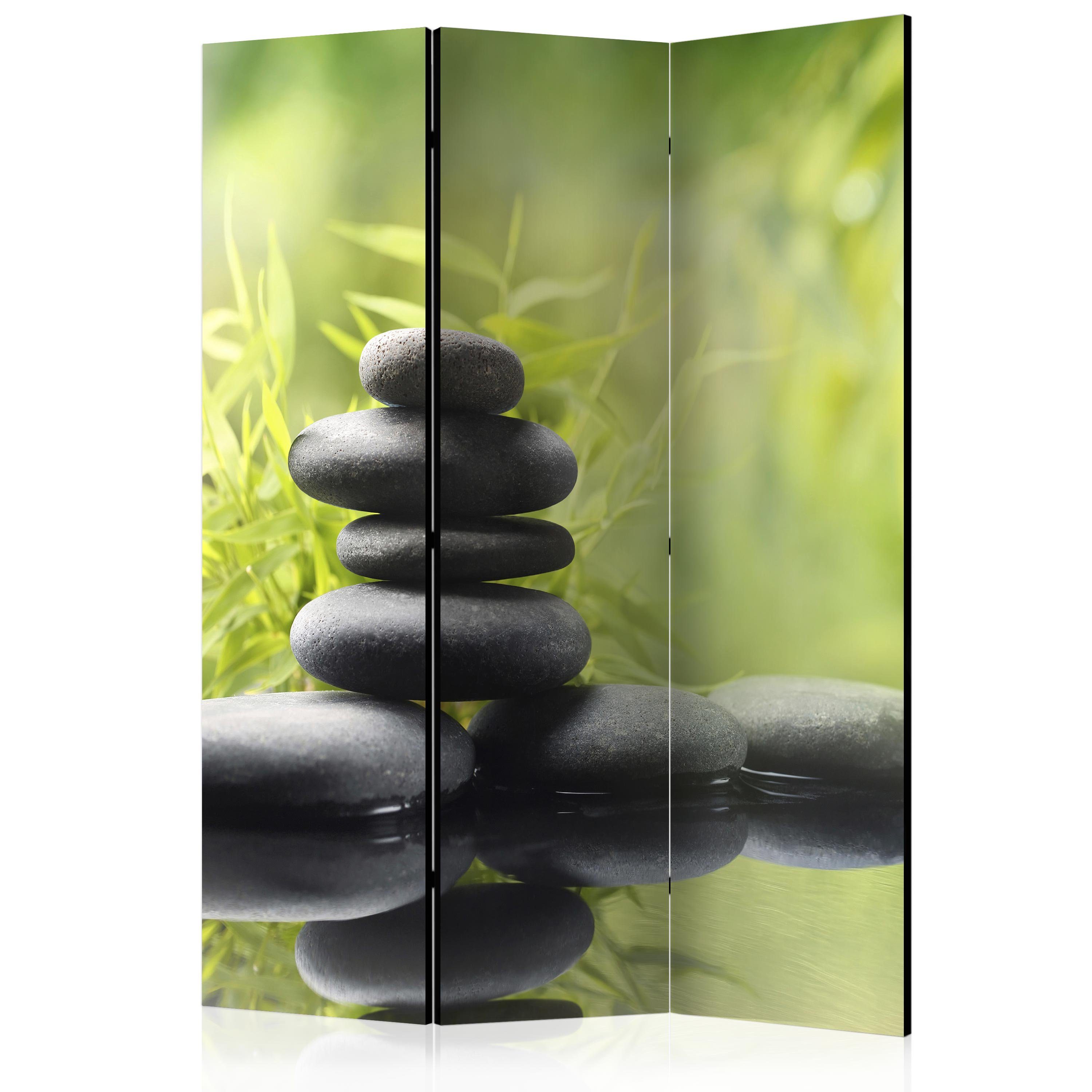 Basera® Paravent 3-teiliger Raumteiler, Motiv p-C-0020-z-b