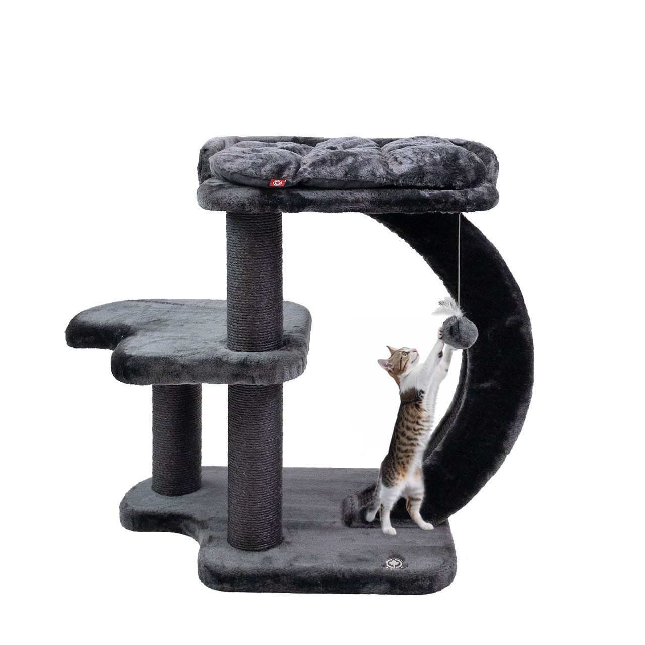Canadian Cat Company Kratzbaum Jordan 81 cm kompakter Design Katzenkratzbaum, mit Sisalstämmen, Kratzrampe, ca. 68 x 48 x 81 cm