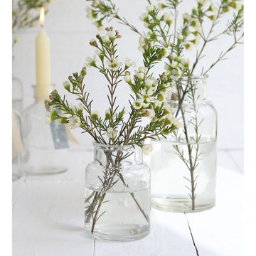 Annastore Dekovase Glasflaschen - Apothekerflaschen - Vasen - Gewürzgläser, Glasvase, Blumenvase