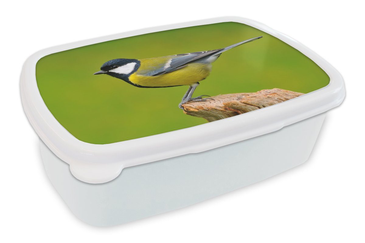 Brotdose, Grün, und (2-tlg), Vogel MuchoWow - Kunststoff, - für Erwachsene, Kinder Tiere Jungs für Kohlmeise und Lunchbox Mädchen - Brotbox weiß