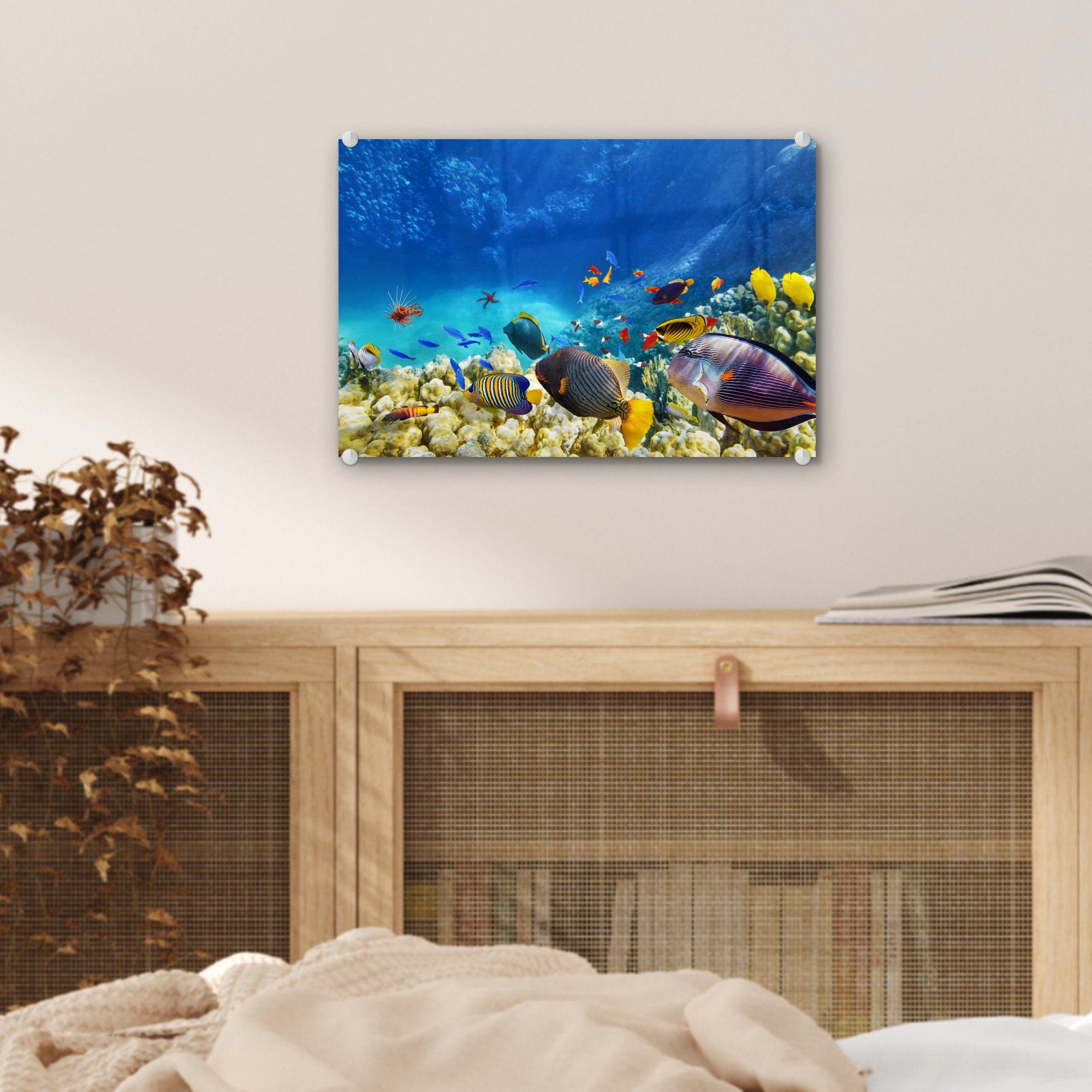 Korallen Acrylglasbild Wandbild - Fische auf St), Bilder Wanddekoration Glasbilder - - Glas MuchoWow Foto auf - - Meer Glas - (1 Unterwasserwelt,