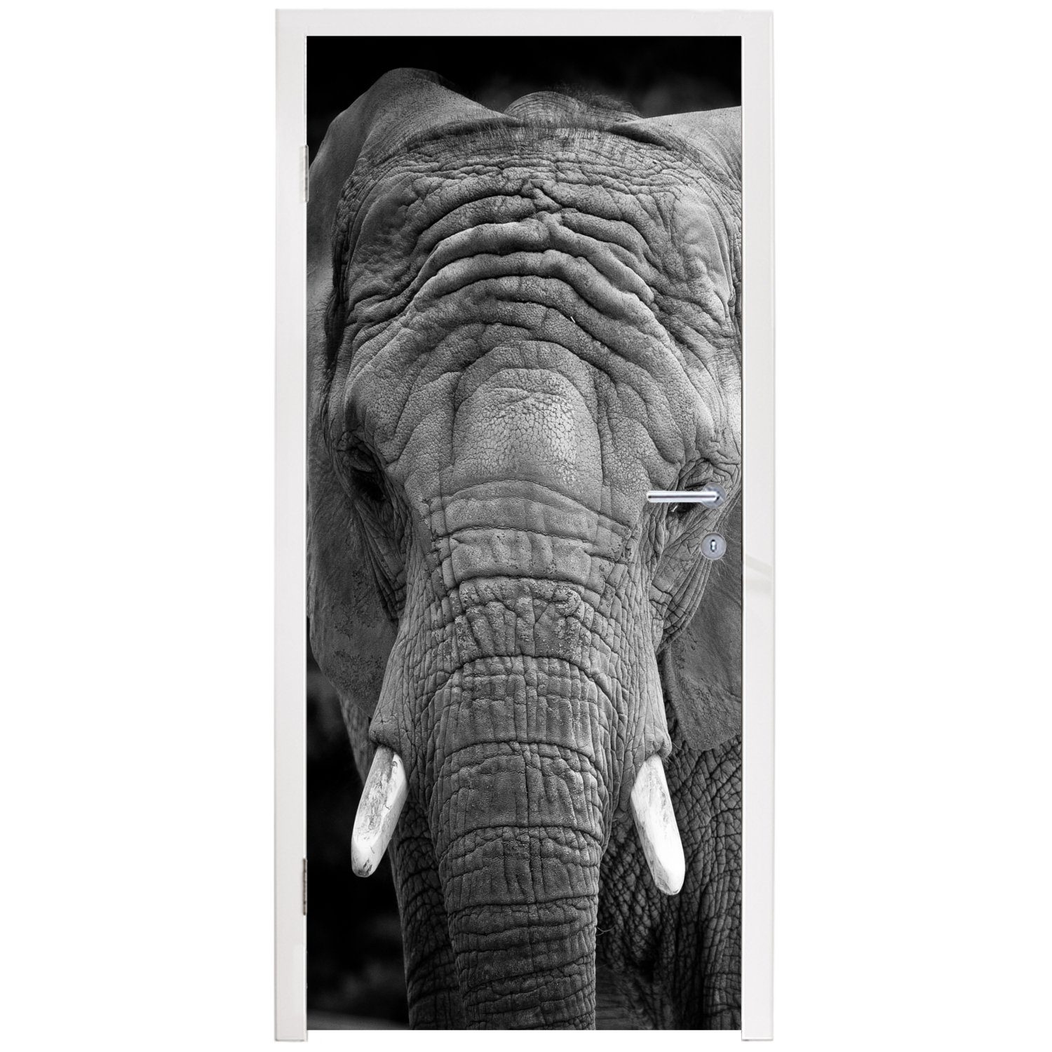 MuchoWow Türtapete Porträt Tür, cm Schwarz bedruckt, 75x205 und Weiß, Elefanten Fototapete Matt, Türaufkleber, für in (1 St), eines