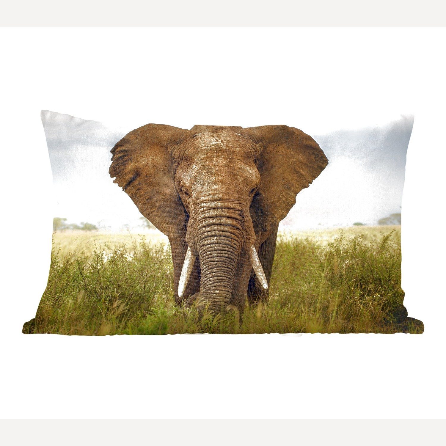 Dekokissen MuchoWow Wohzimmer Vorderansicht, Schlafzimmer Dekokissen Elefant Afrikanischer mit Füllung, Zierkissen, Dekoration,