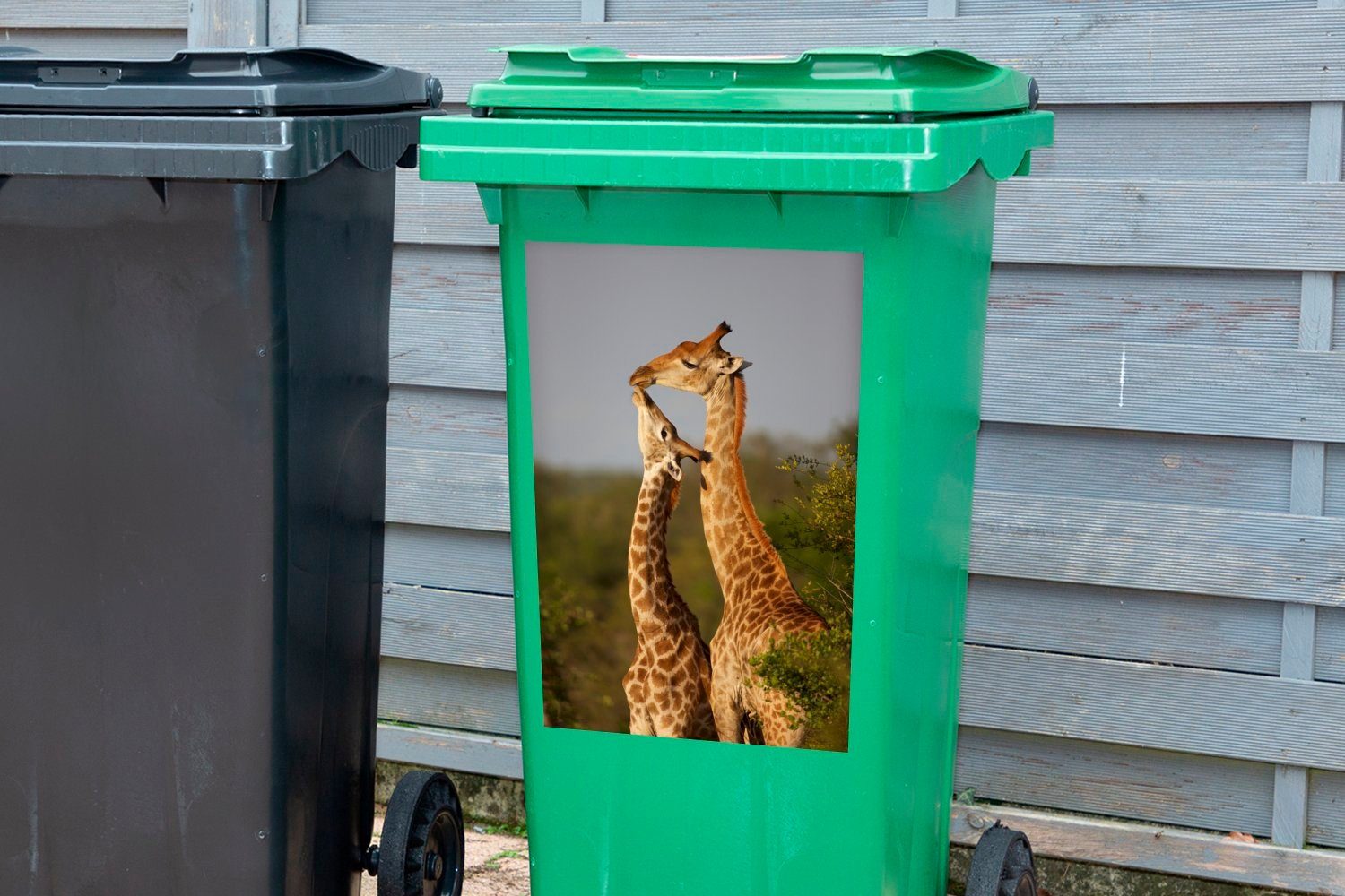 Giraffe Container, Baum Sticker, St), Mülleimer-aufkleber, MuchoWow Wandsticker Afrika Abfalbehälter - (1 - Mülltonne,