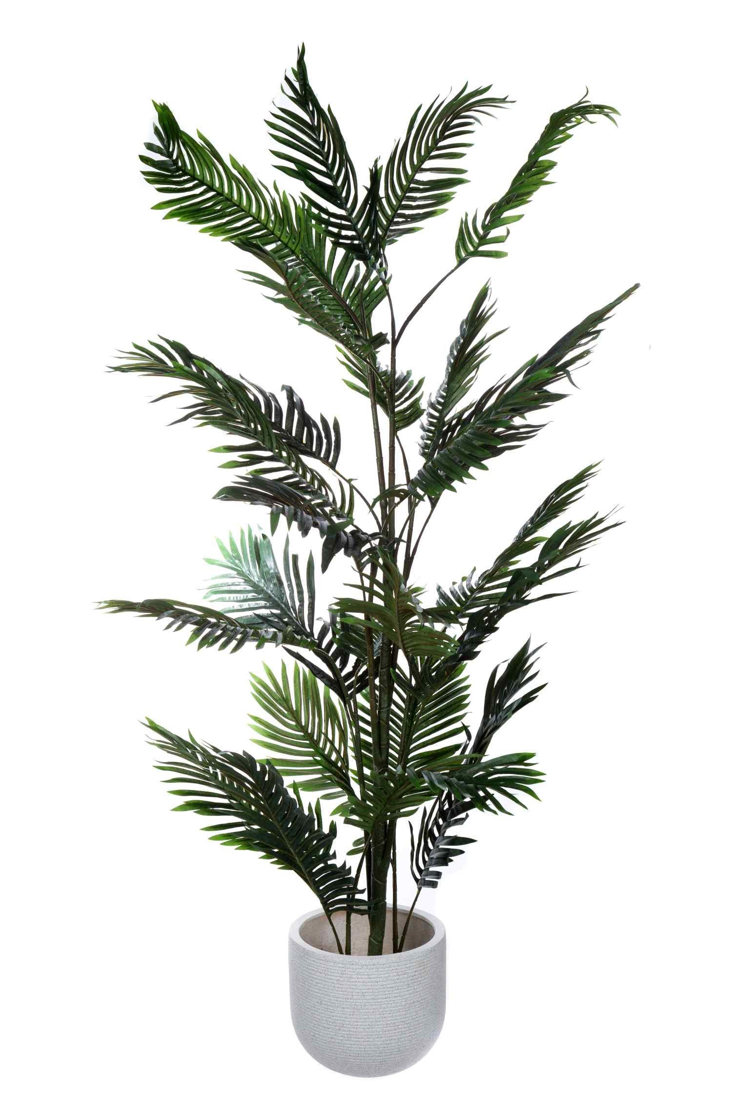 BIRENDY Dekobaum Birendy XXL Palme Farnpalme Kokospalme JWT2578 Riesige 160cm hohe. € 49,99