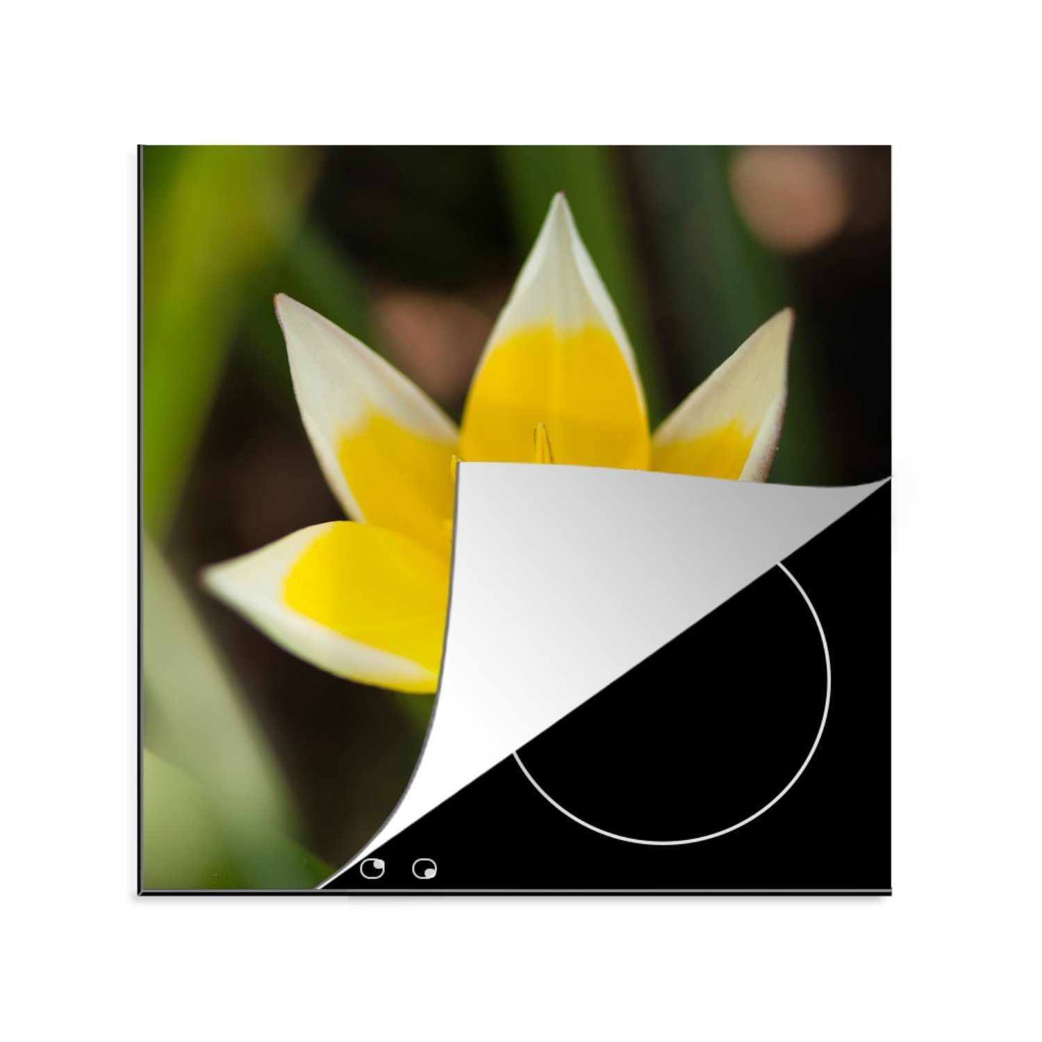 MuchoWow Herdblende-/Abdeckplatte Blume - Garten - Gelb, Vinyl, (1 tlg), 78x78 cm, Ceranfeldabdeckung, Arbeitsplatte für küche
