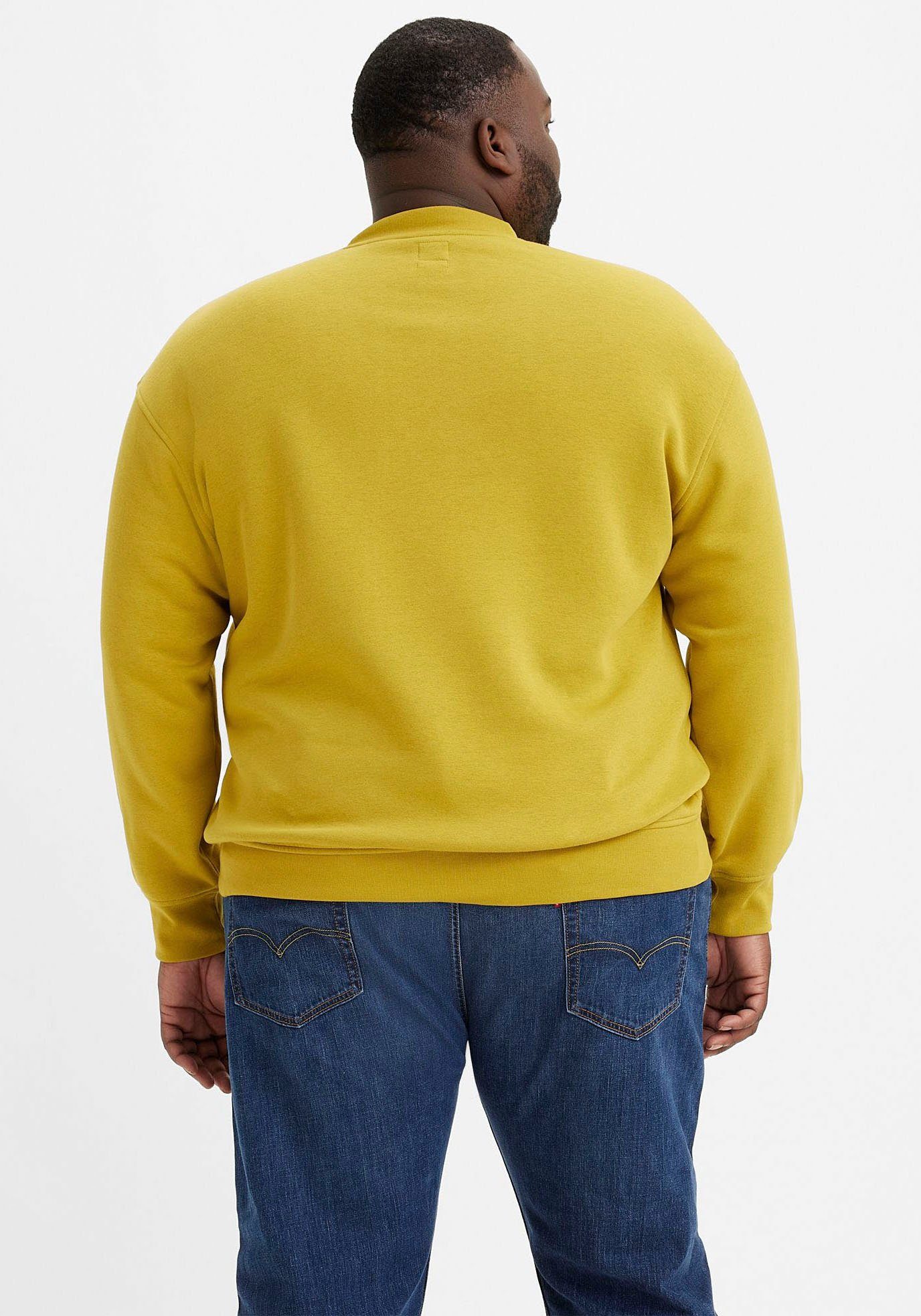 GRAPHIC Plus CREW BIG RELAXED Sweatshirt Levi's®